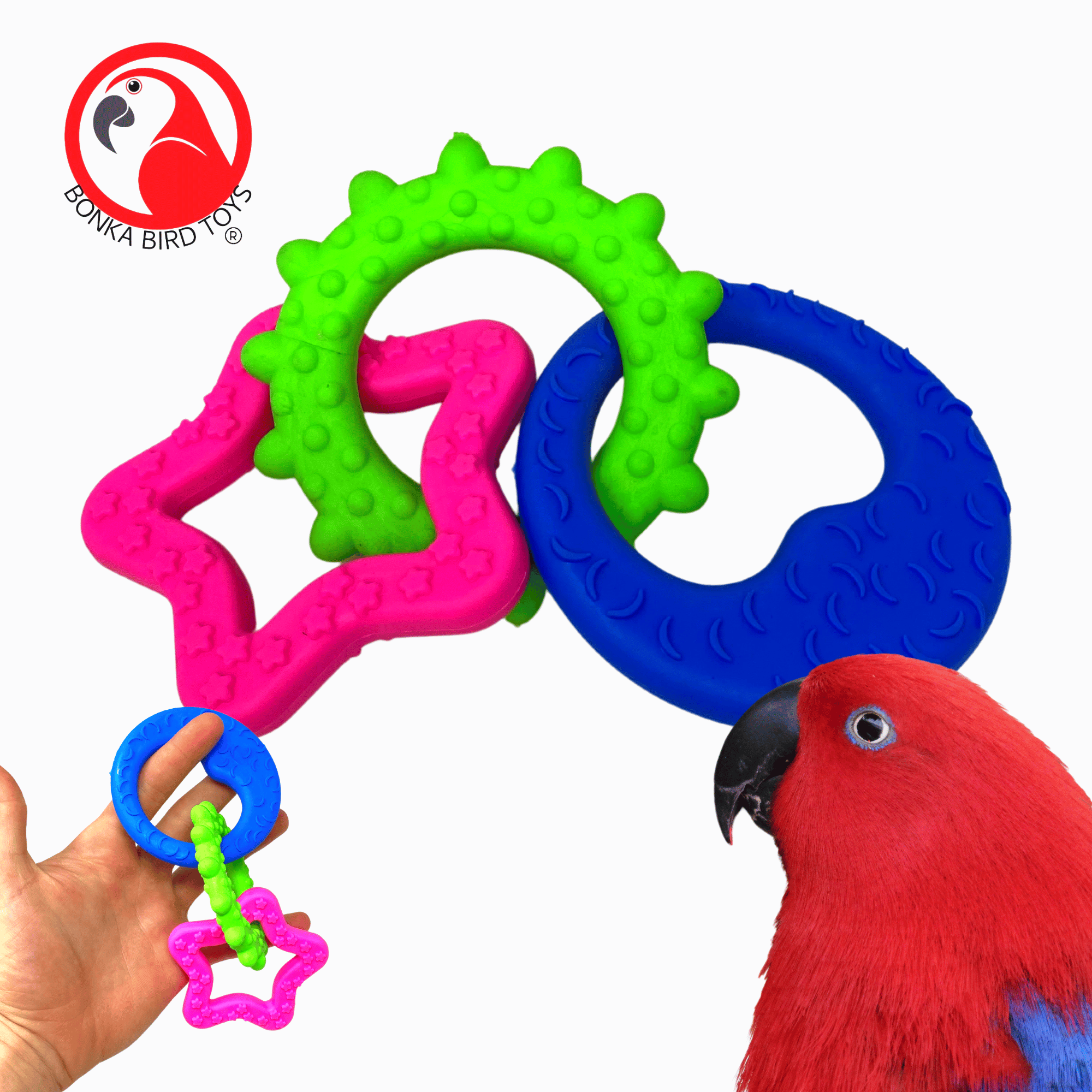 Ring-a-Ding Foot Talon Toys - Bonka Bird Toys