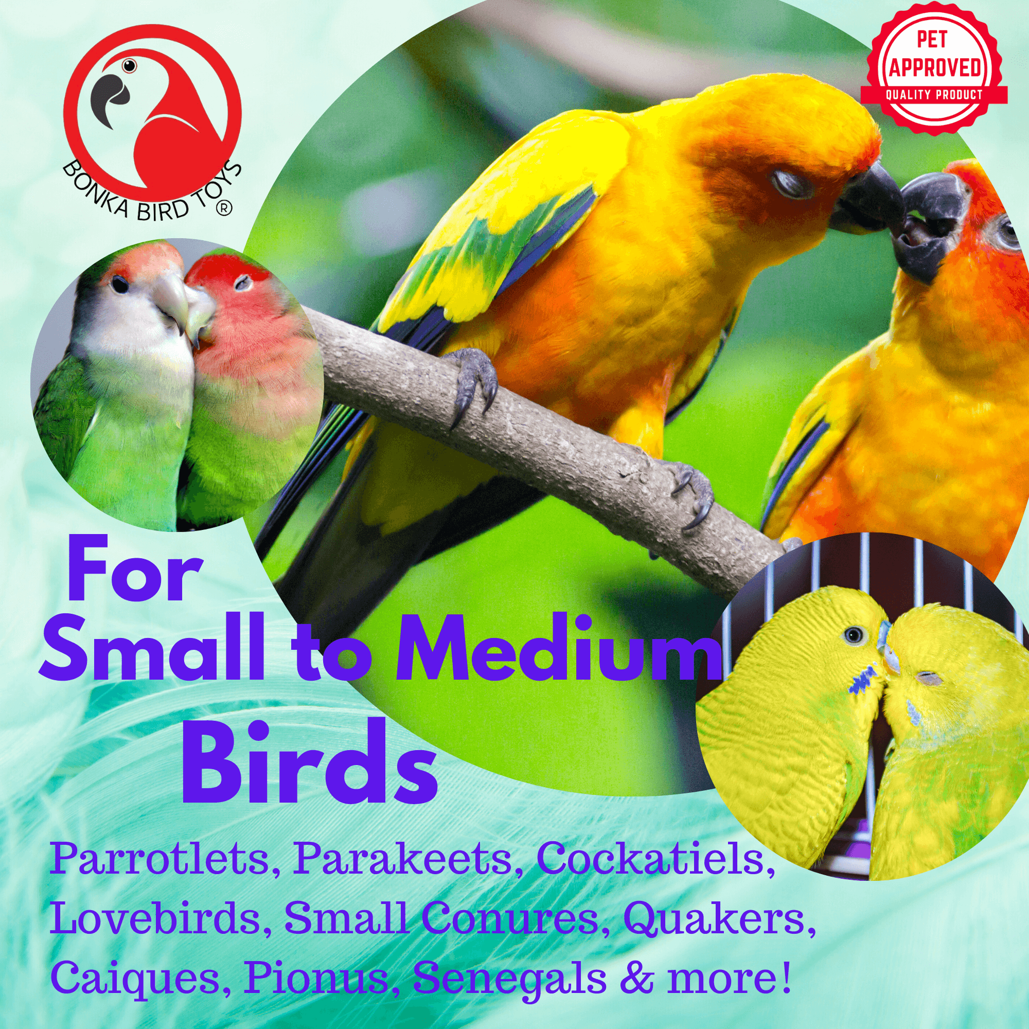 2641 Party Cup - Bonka Bird Toys