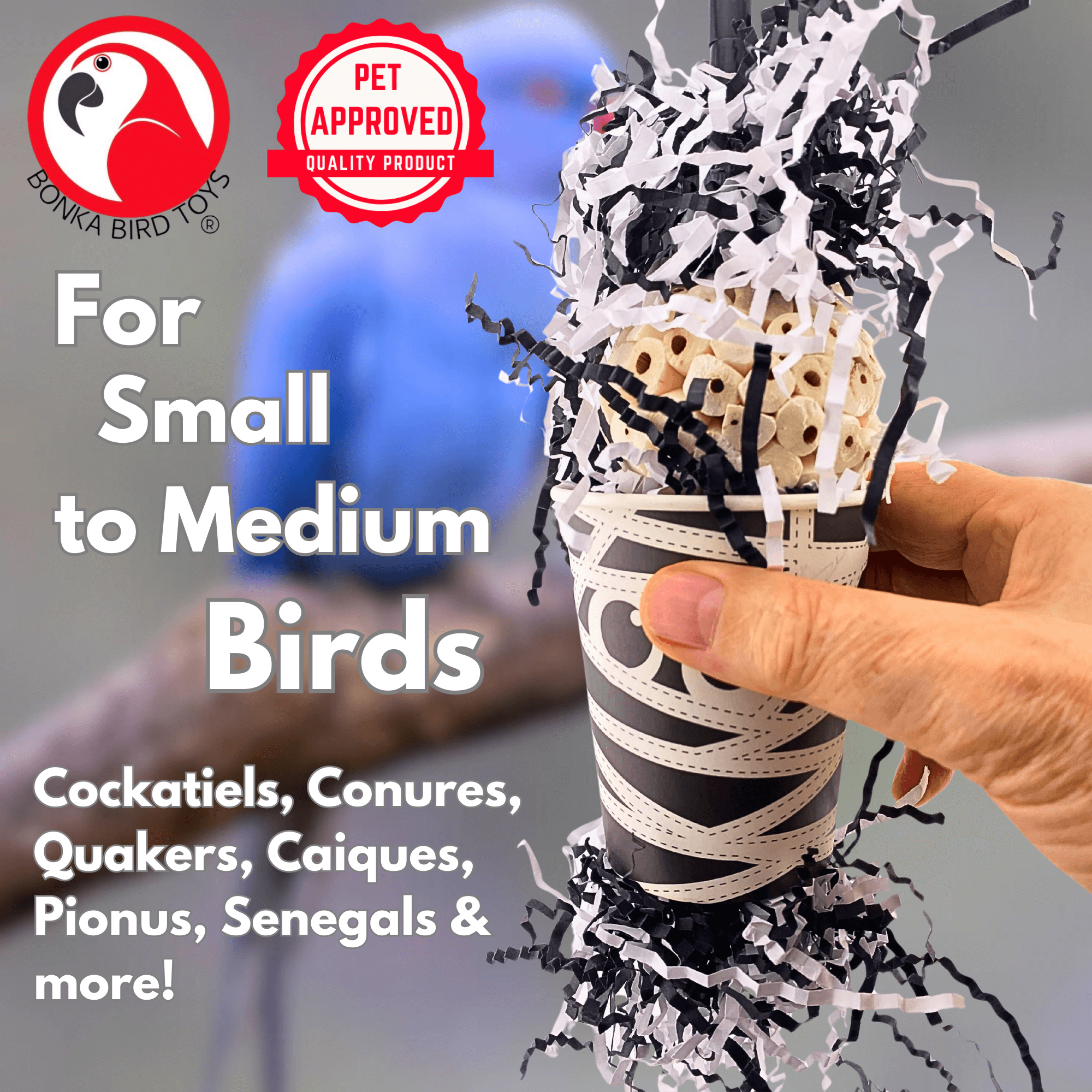 2867 Spooky Mummy - Bonka Bird Toys