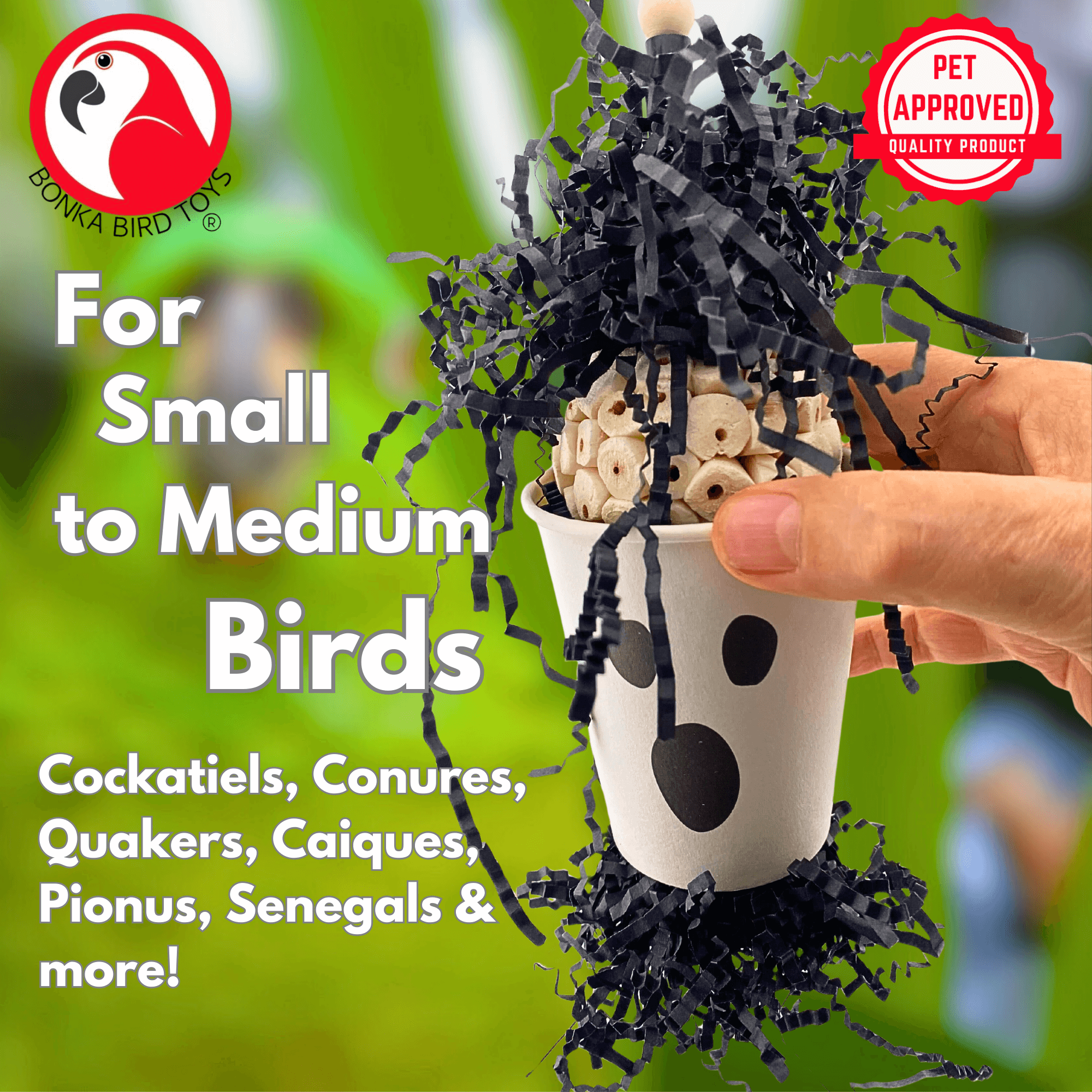 2872 Boo Ghost - Bonka Bird Toys