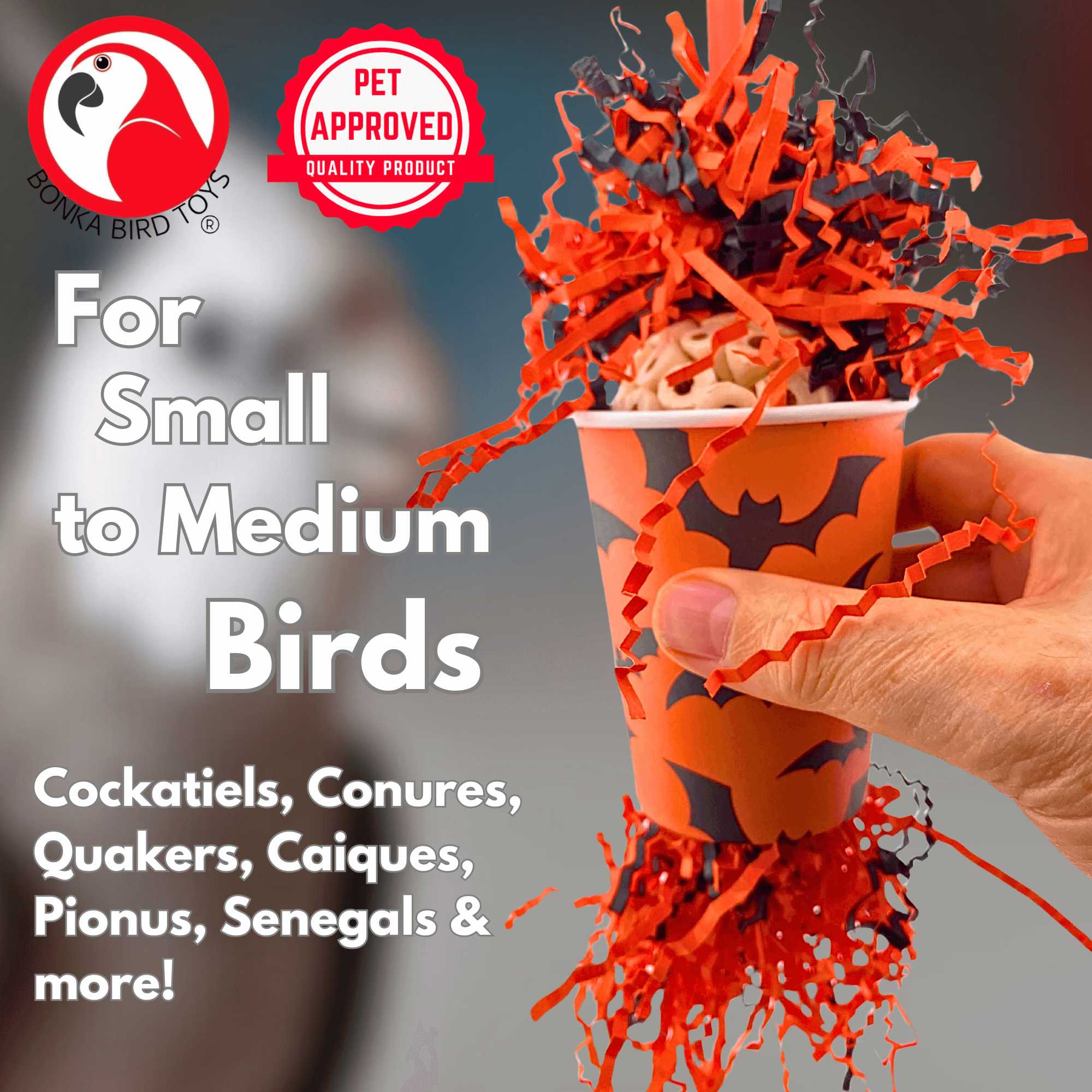 2874 Bat Crazy - Bonka Bird Toys