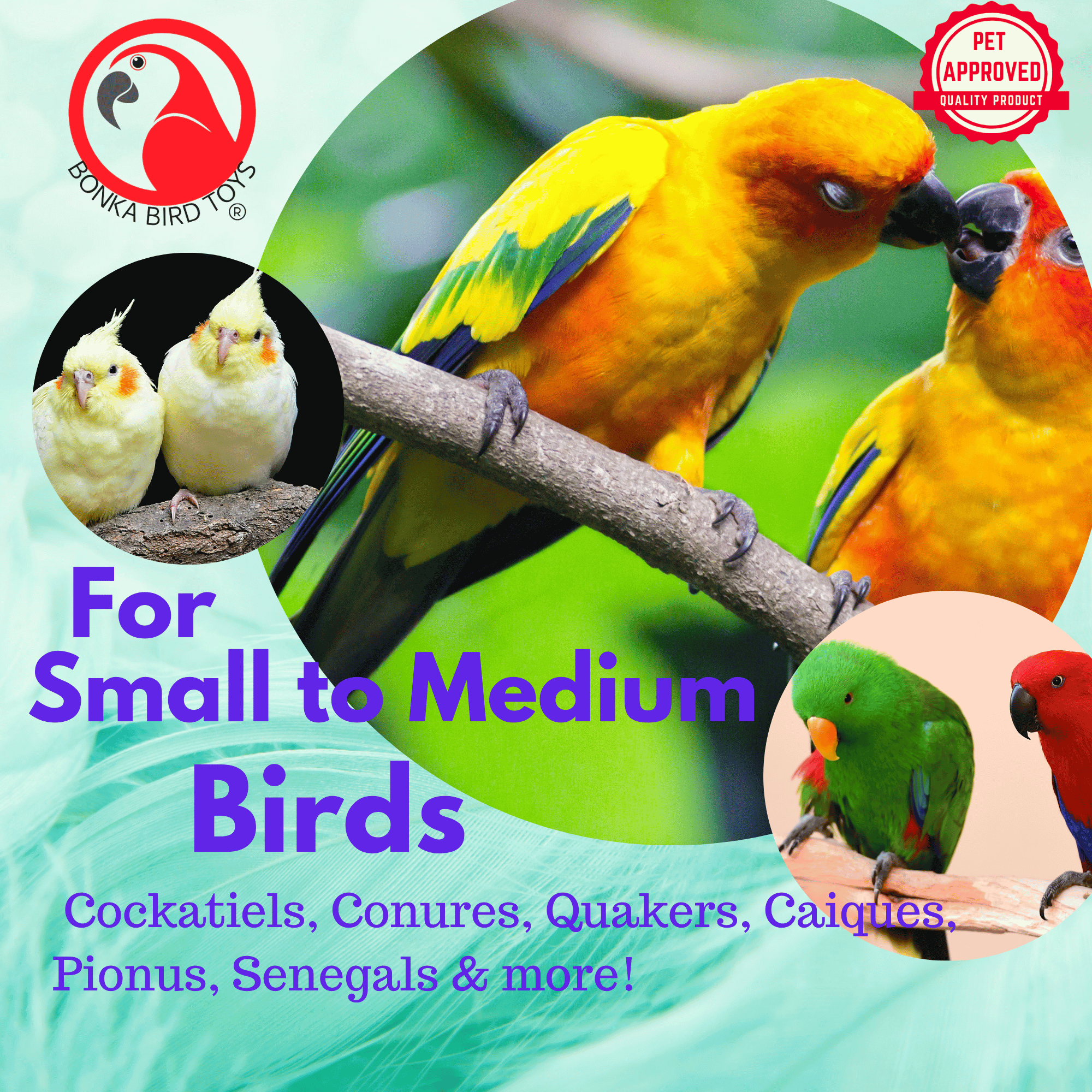 2587 Pinata Parrot - Bonka Bird Toys