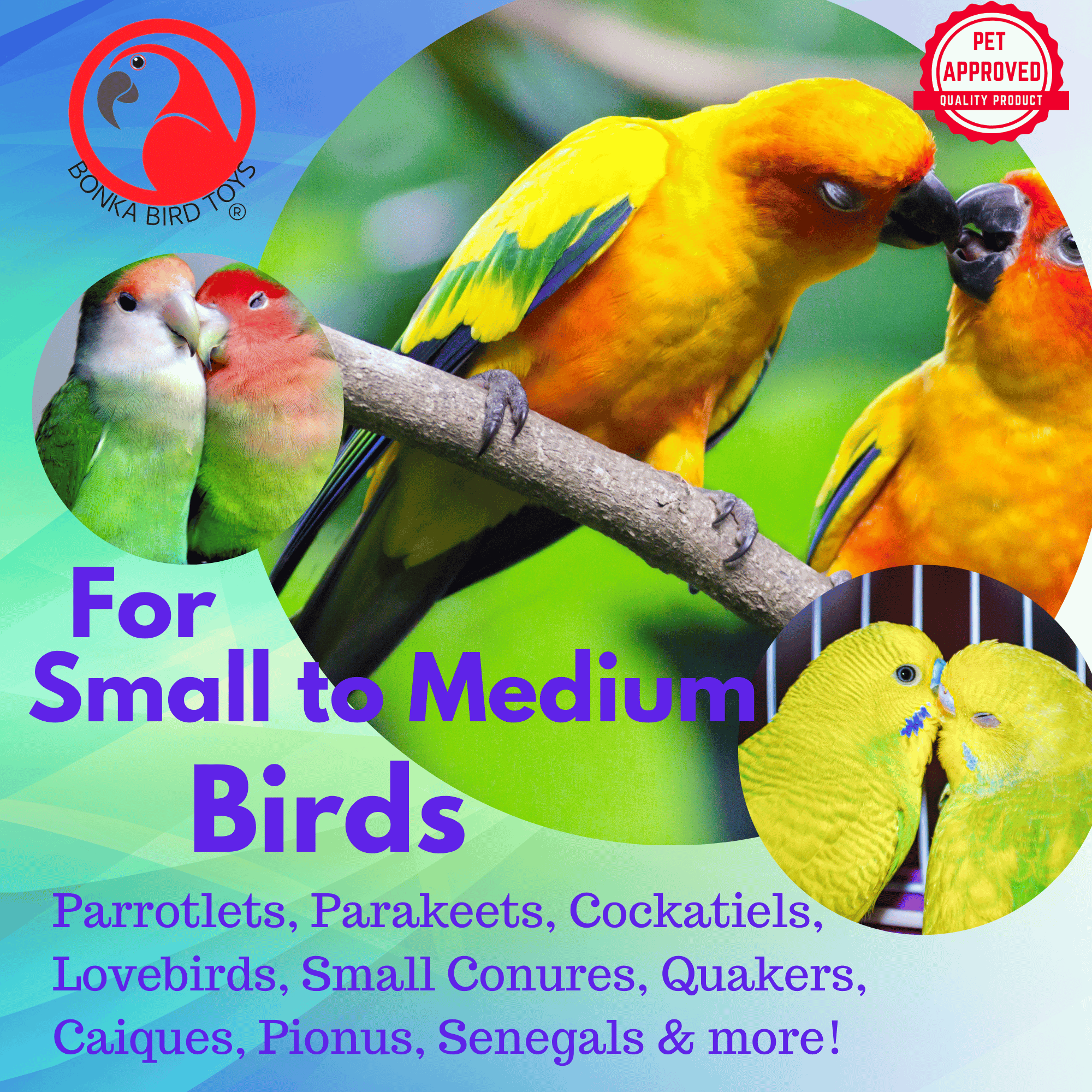 2908 Mini Rainbow Sticks - Bonka Bird Toys