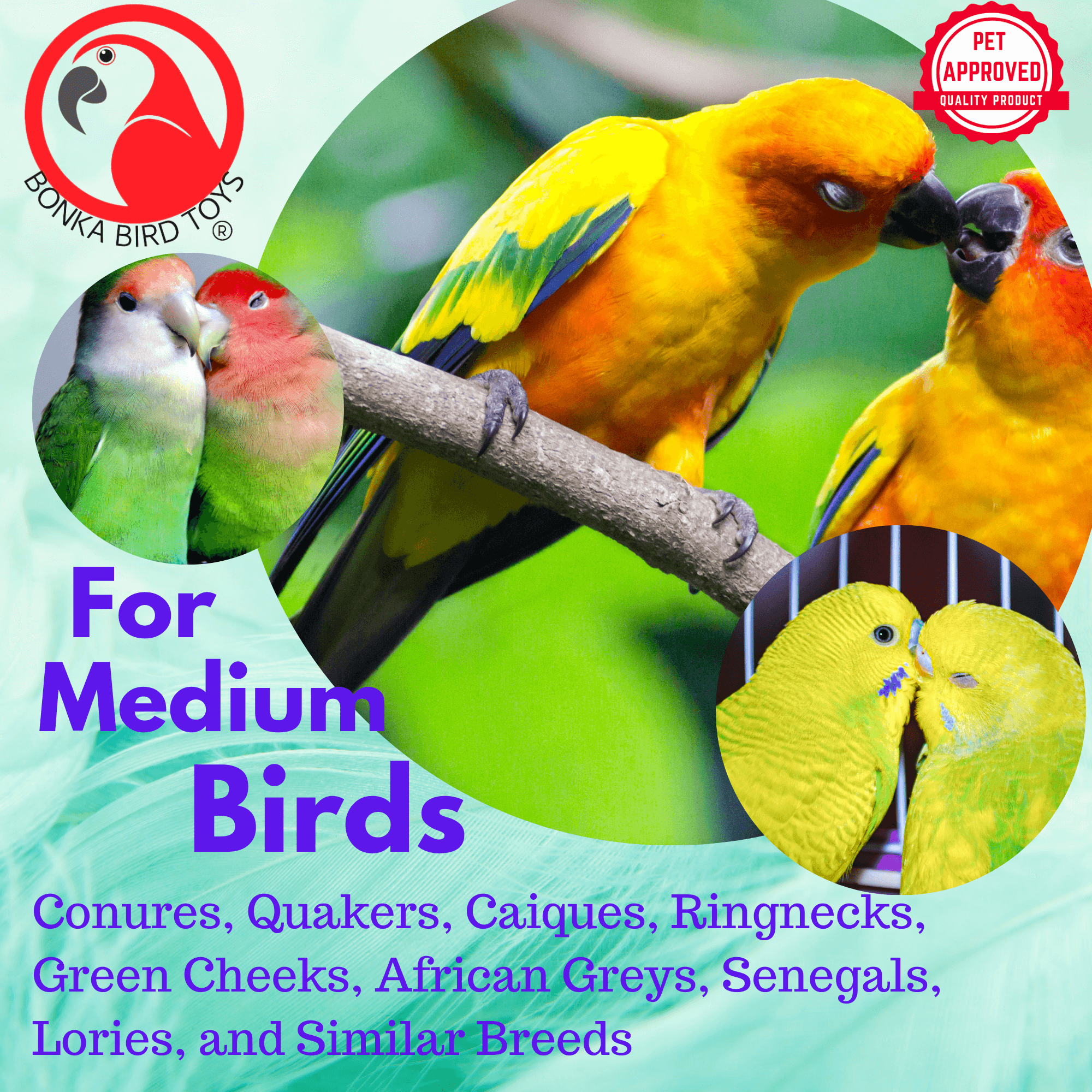 2661 Straw Stepper - Bonka Bird Toys