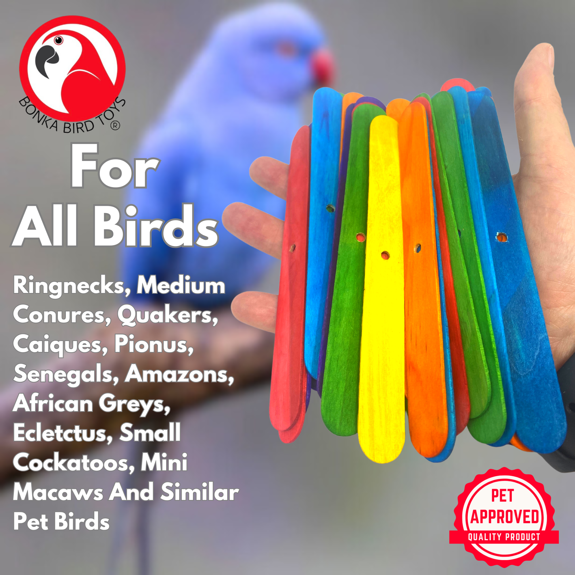 Pk100 Big Colored Wooden Chewy Sticks - Bonka Bird Toys
