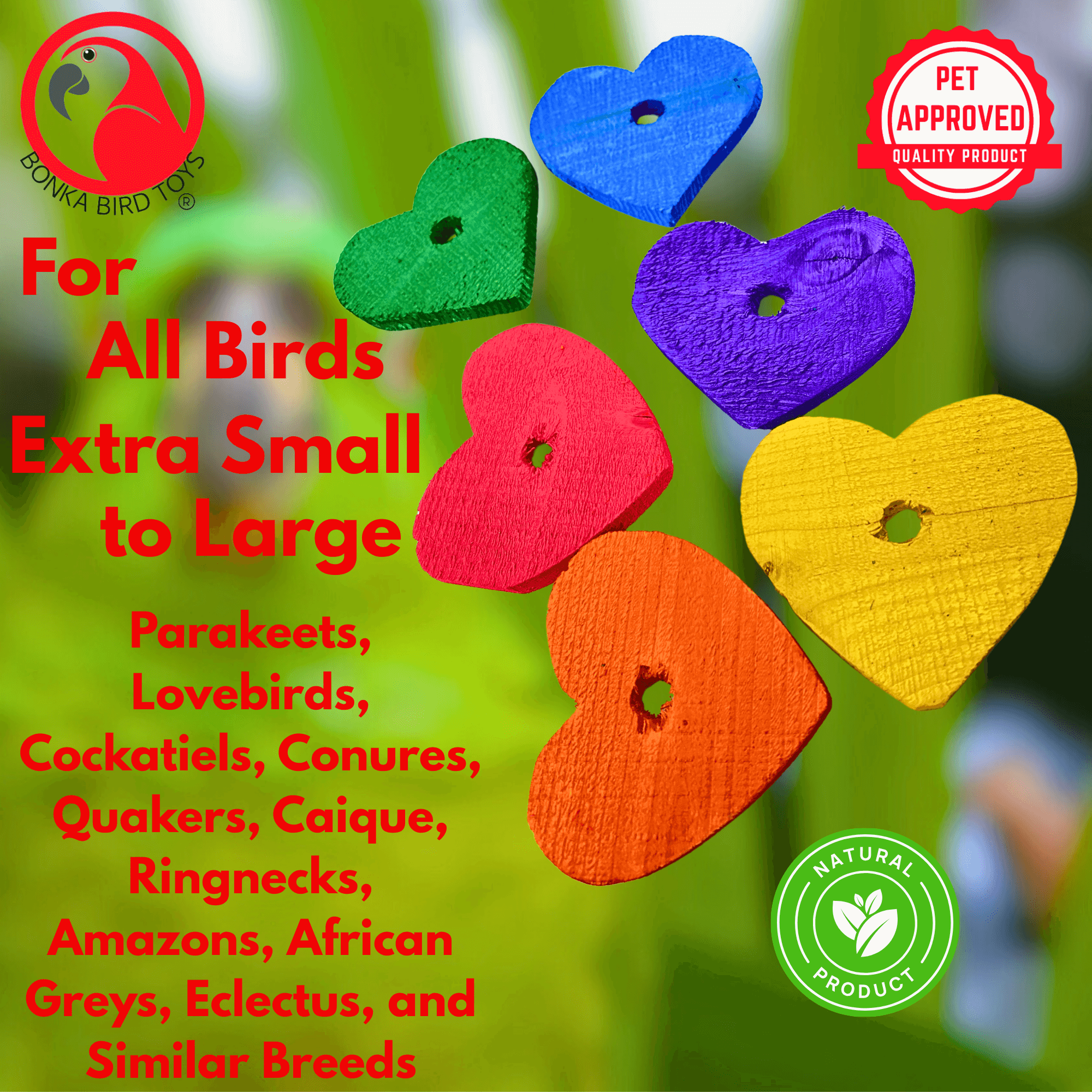 1165 Pk6 Colored 2.5" Wood Hearts - Bonka Bird Toys