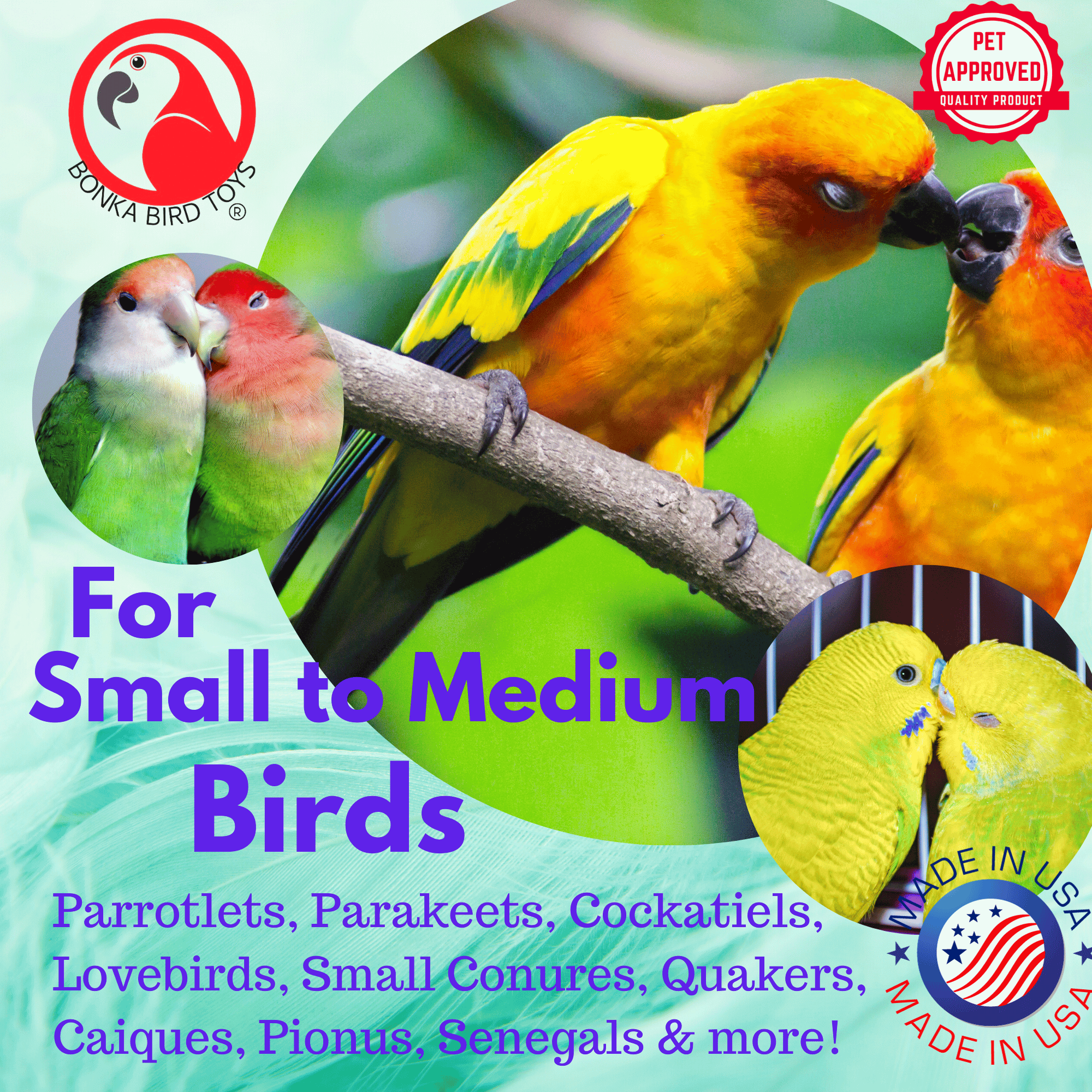 934 Frog Plucker - Bonka Bird Toys