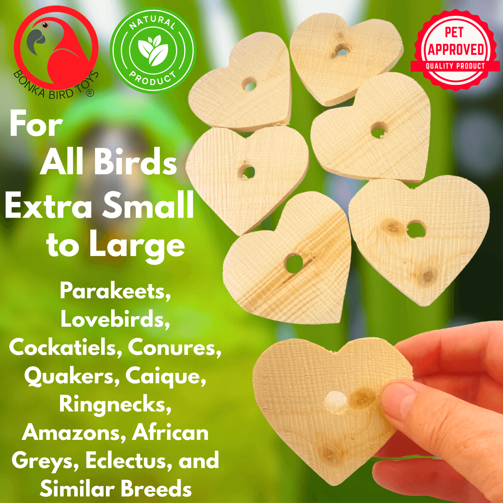 1164 Pk6 Natural 2.5" Wood Hearts - Bonka Bird Toys