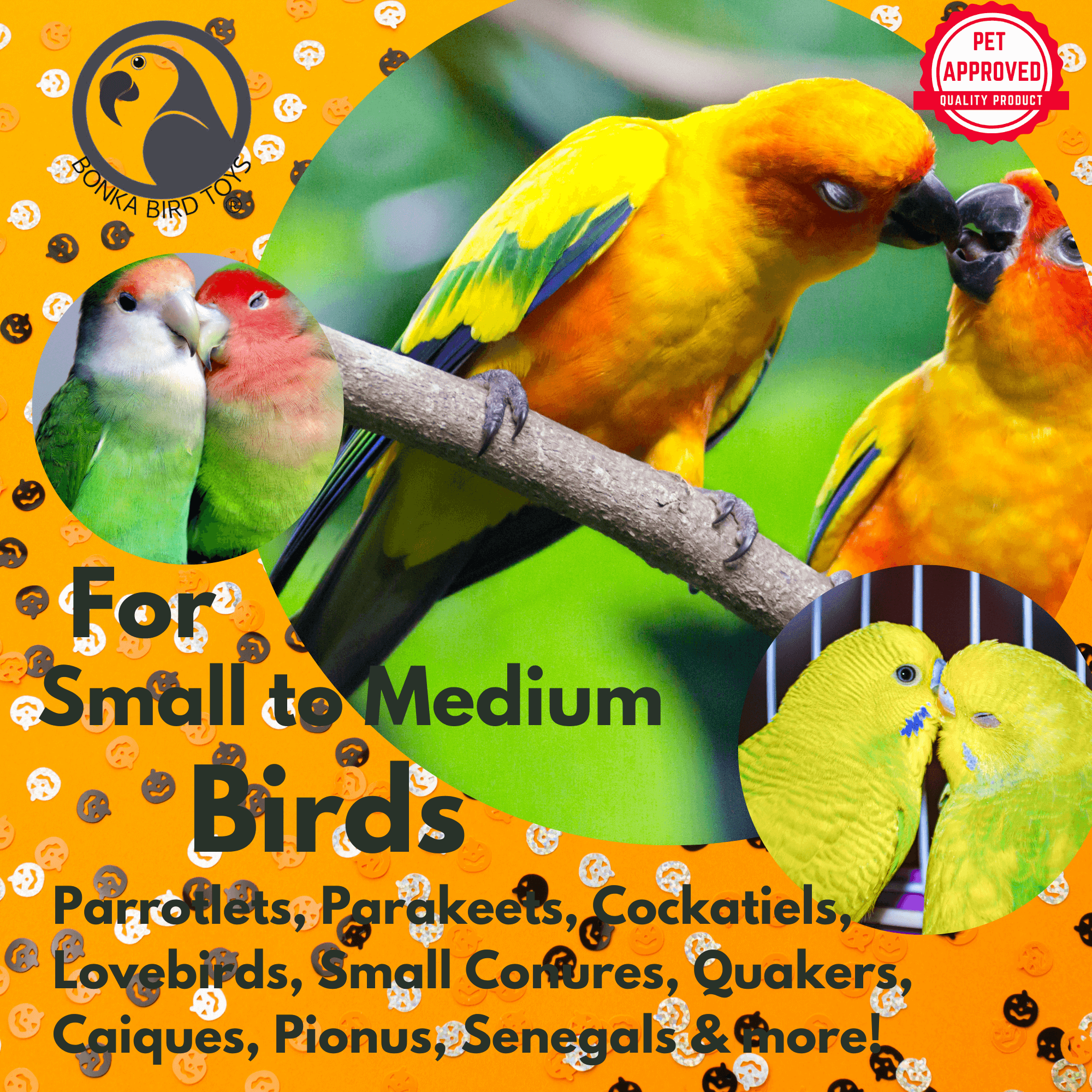 2714 Halloween Spooky Cat Dish - Bonka Bird Toys