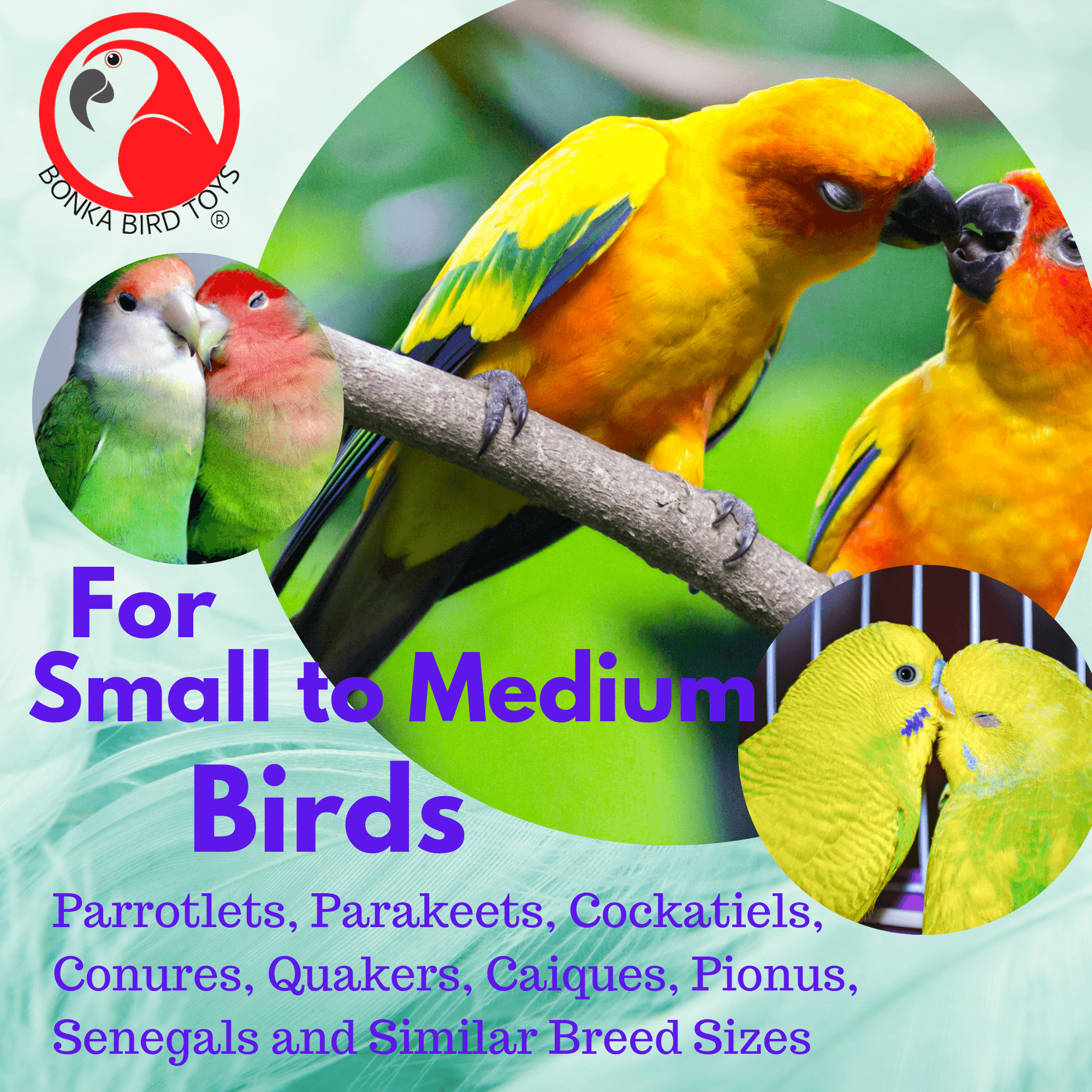 1098 Natural Wood Star - Bonka Bird Toys