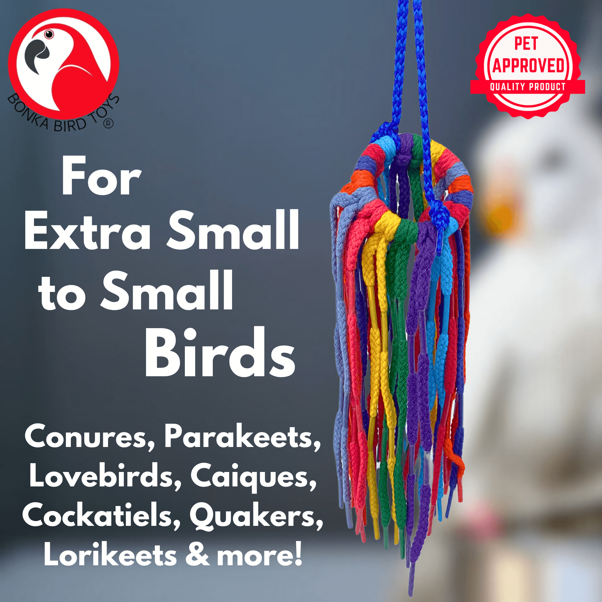 51214 Small Aglet Heaven - Bonka Bird Toys