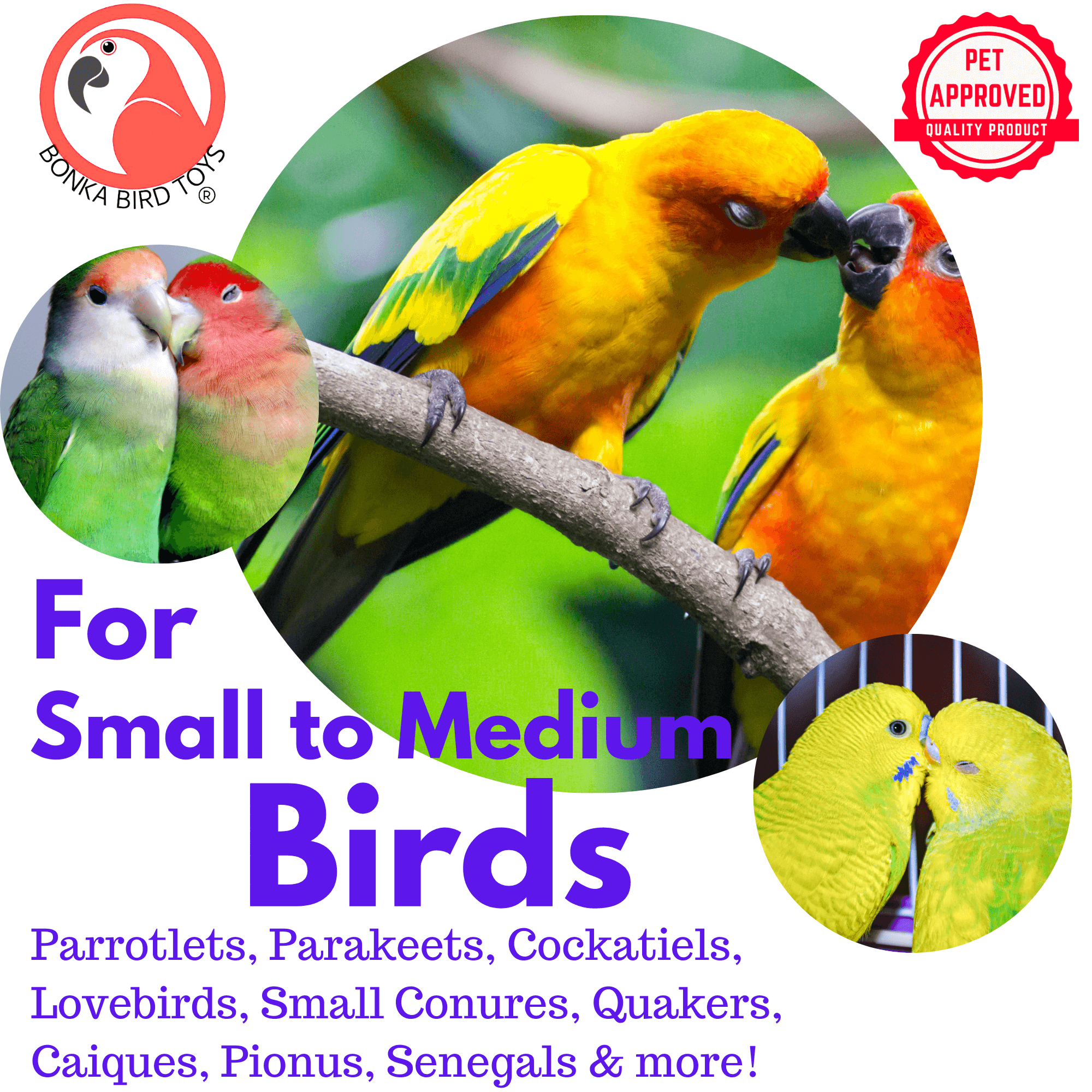 Natural and Colored Ice Cream Sticks - Bonka Bird Toys