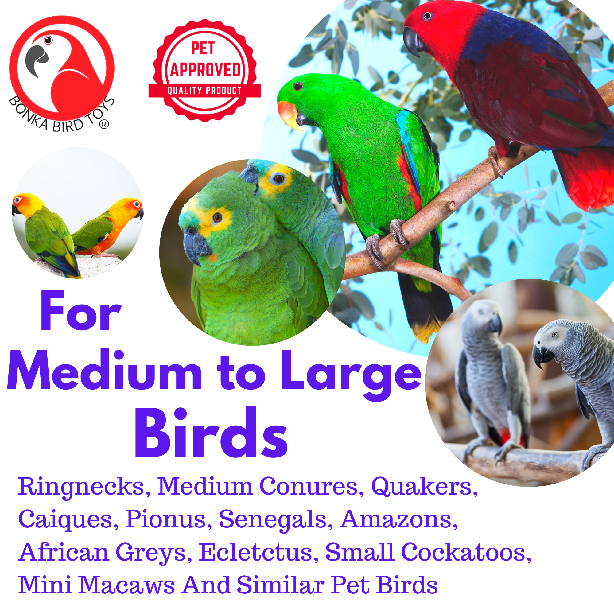 2461 Rattler Cage - Bonka Bird Toys