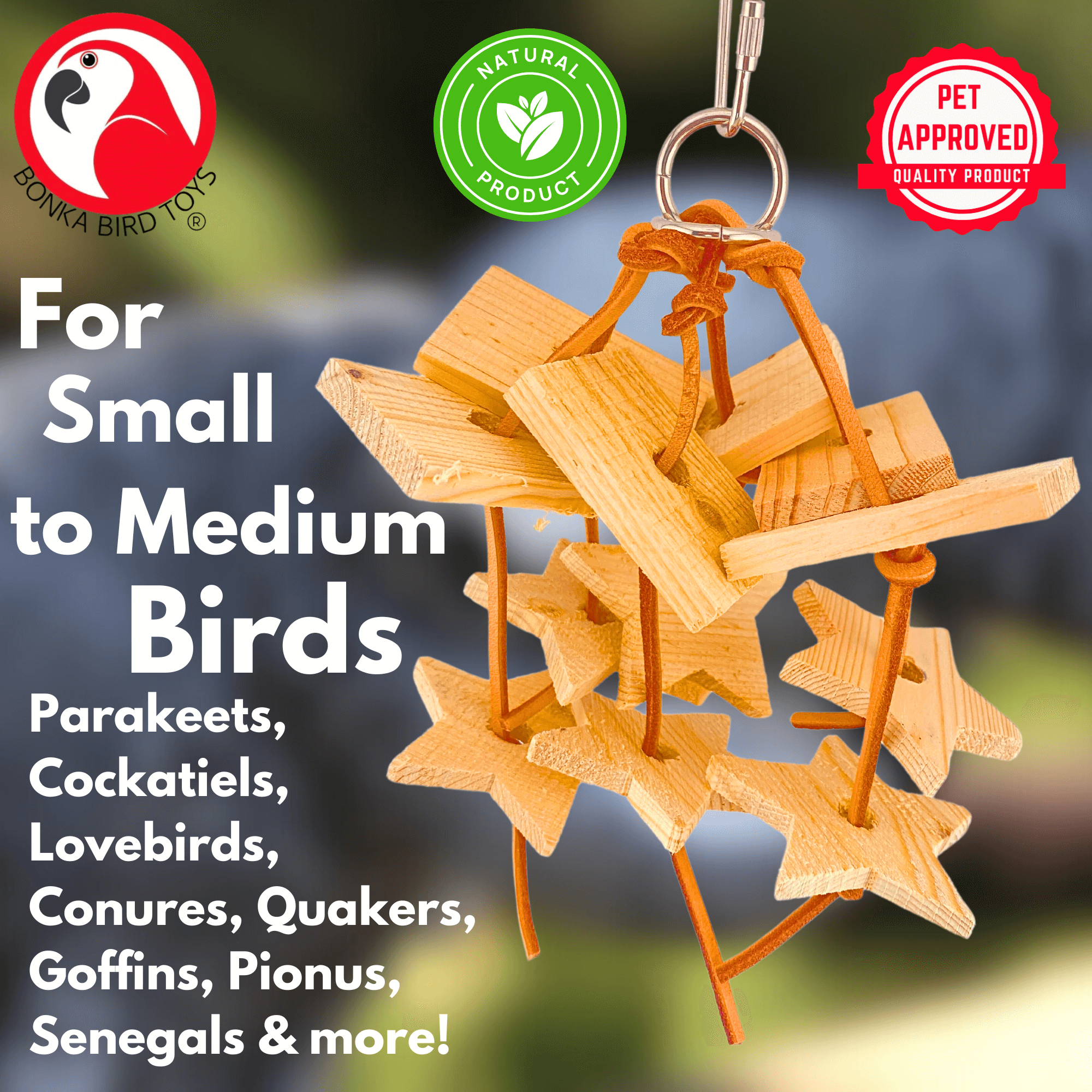 1149 Woodland Galaxy