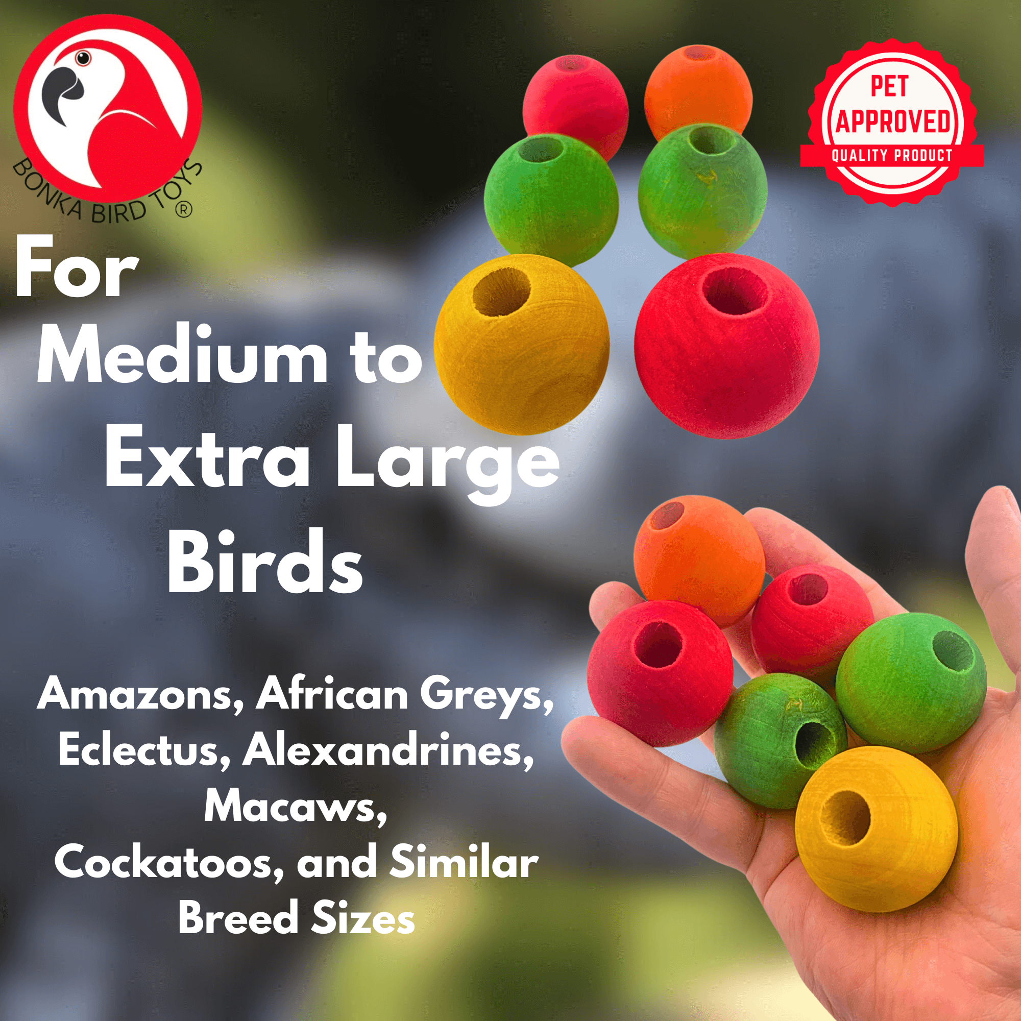 1157 Pk6 1.5" Big Wood Balls - Bonka Bird Toys