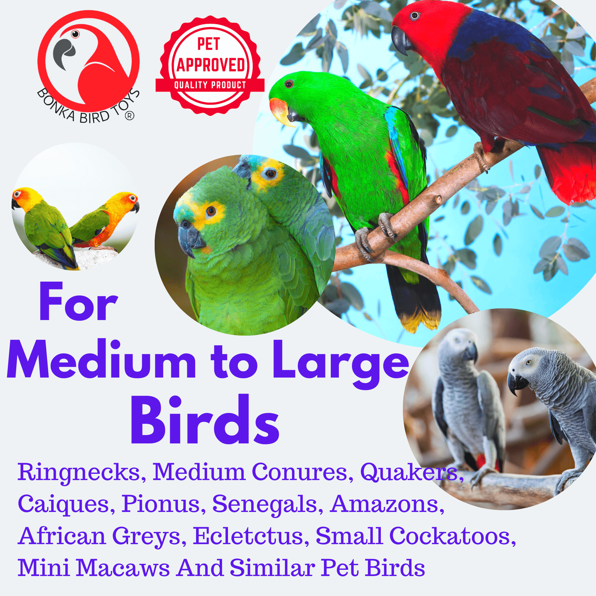 2669 Large Coco Loco - Bonka Bird Toys