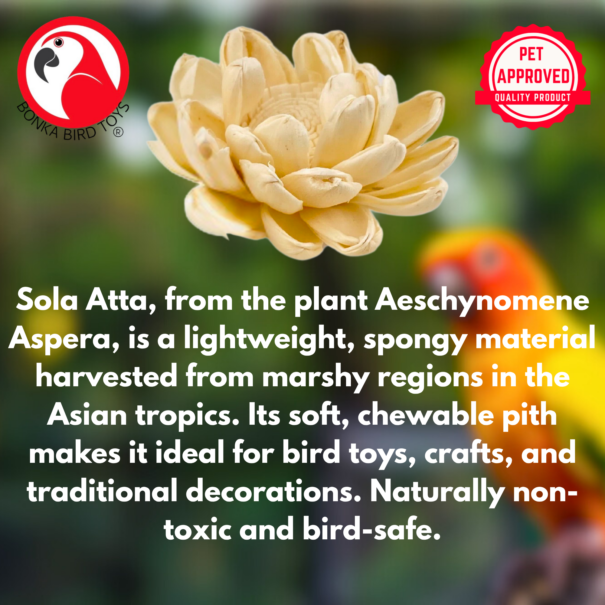 3604 Pk6 Assorted Sola Flowers - Bonka Bird Toys