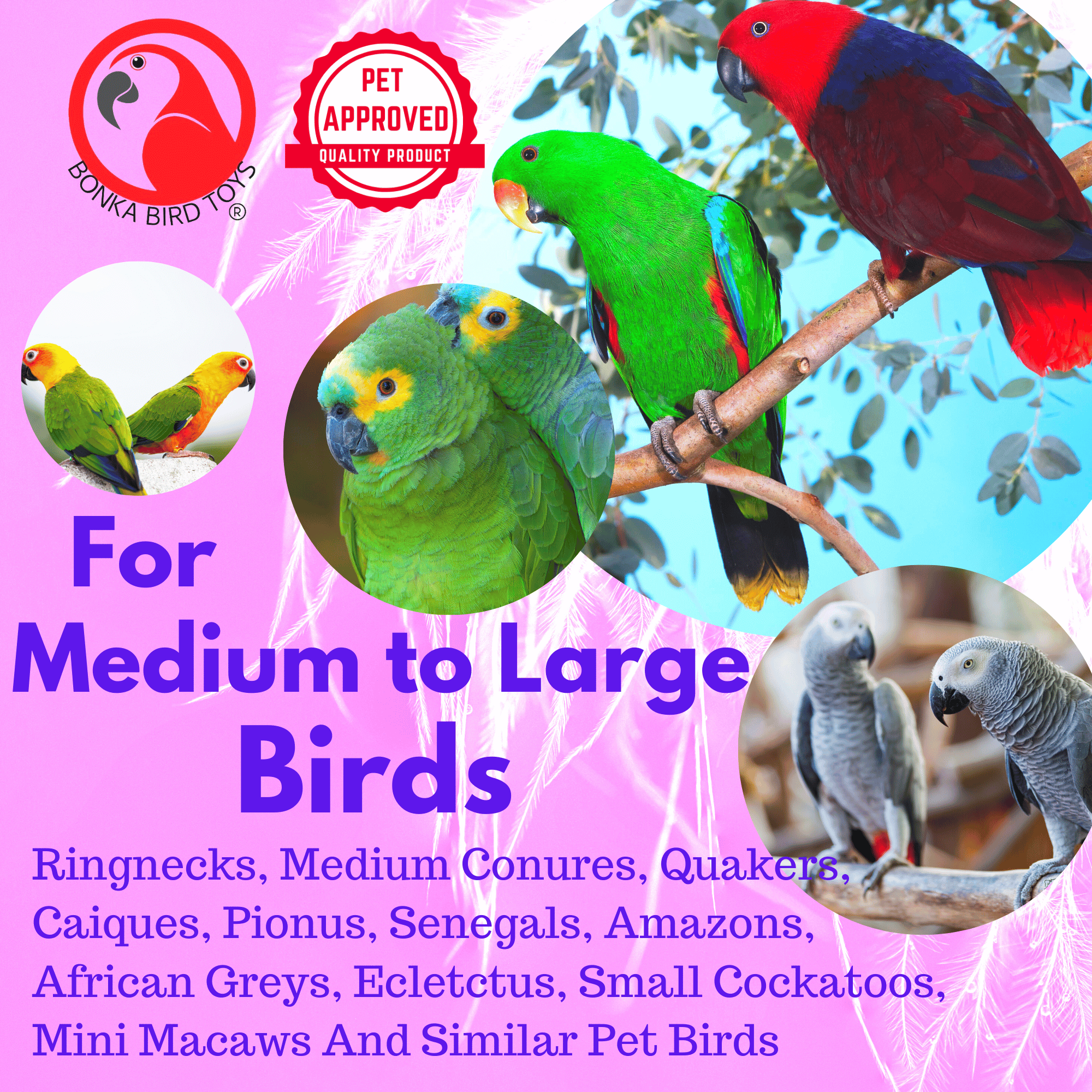 2237 Ring in the Cheers - Bonka Bird Toys