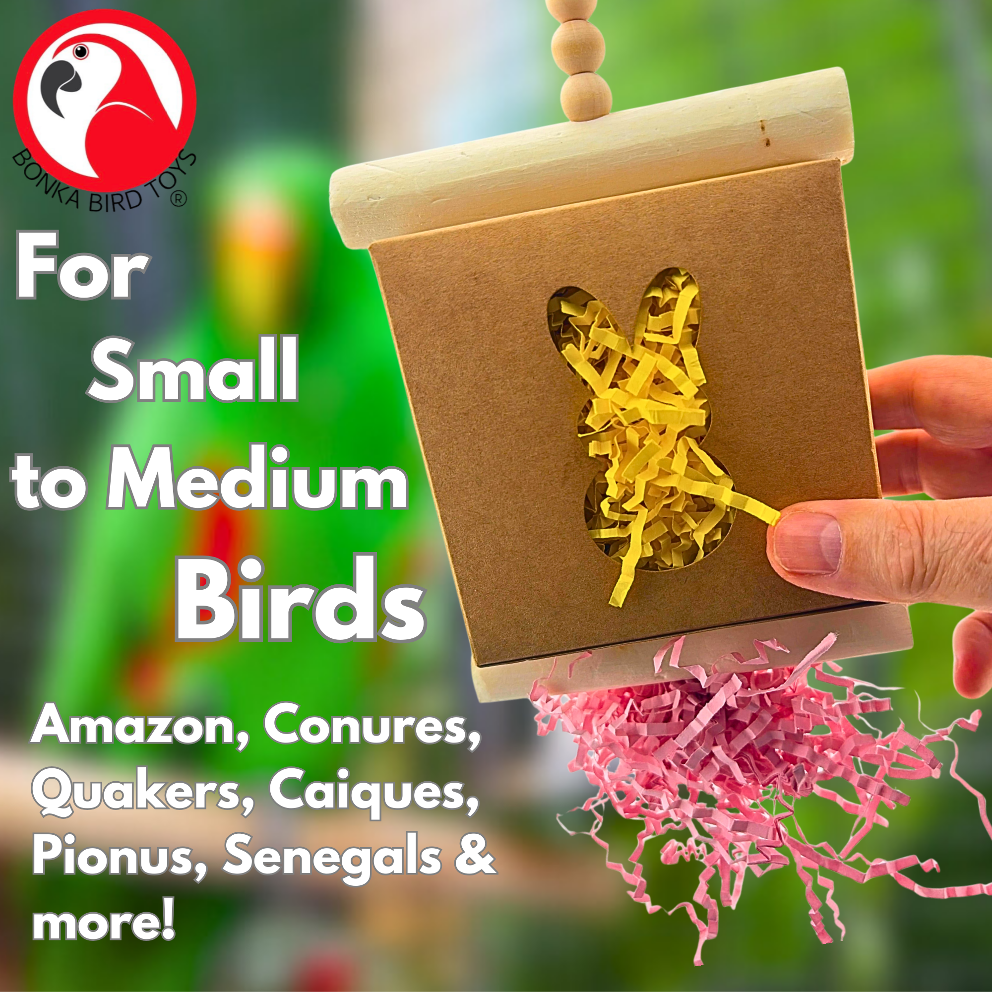 2110 Bunny Box - Bonka Bird Toys