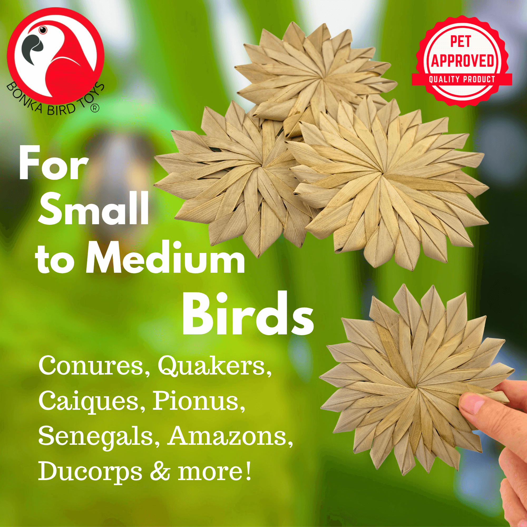 3347 Pk3 Large 4" Woven Palm Leaf Flowers - Bonka Bird Toys