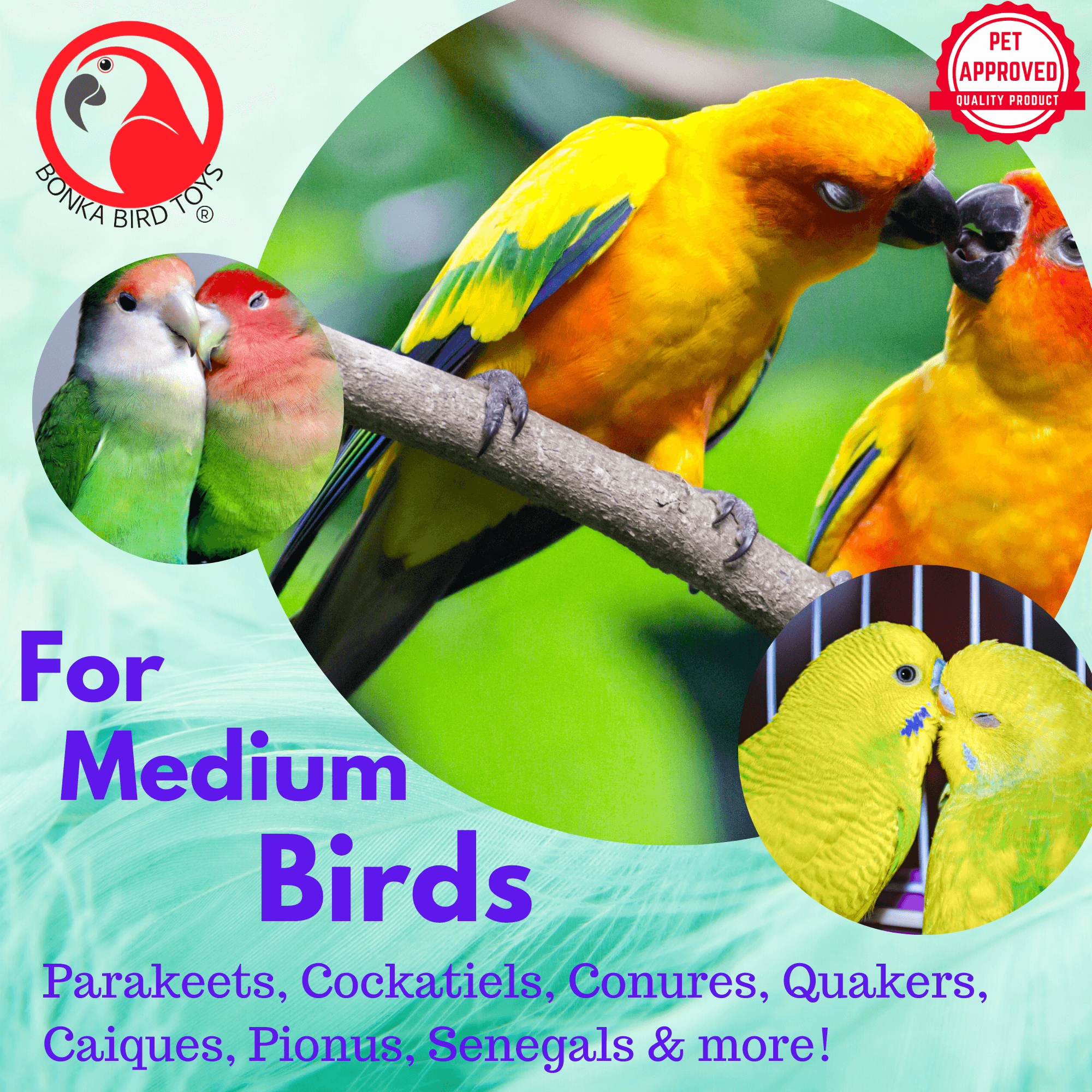 1040 Foraging Star Shred - Bonka Bird Toys