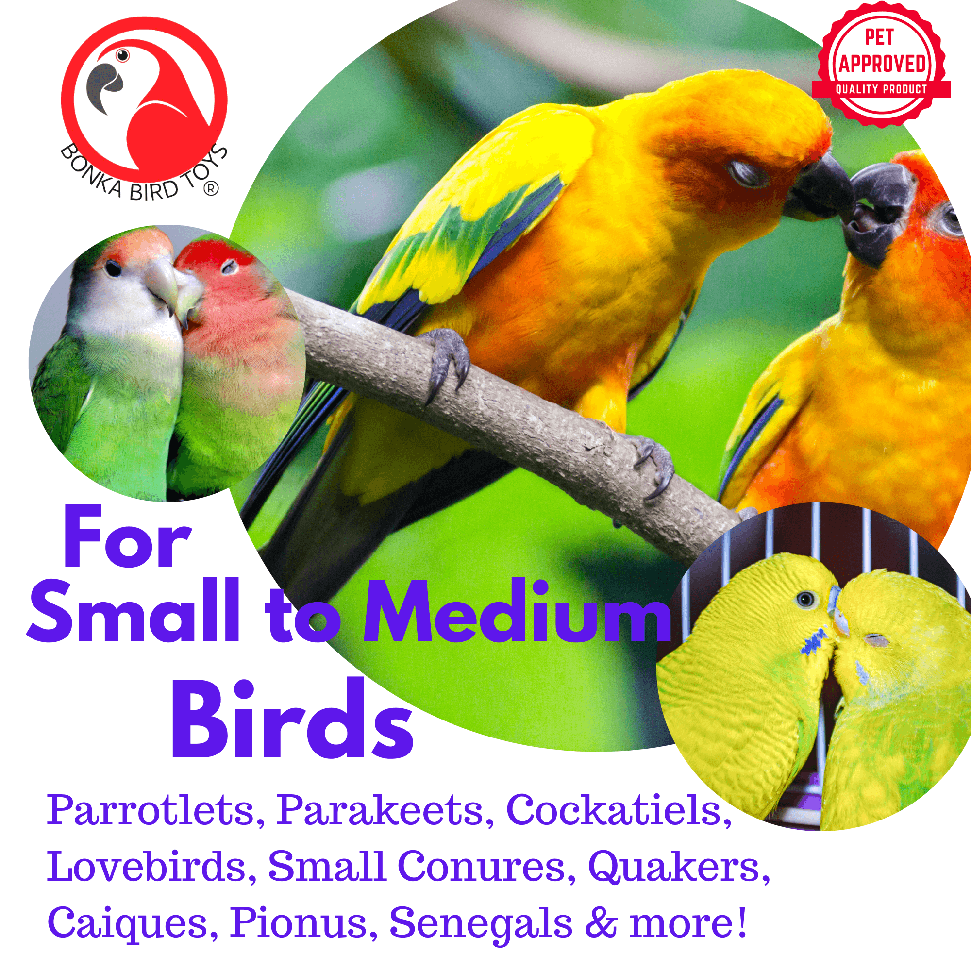 2766 Mahogany Spider - Bonka Bird Toys