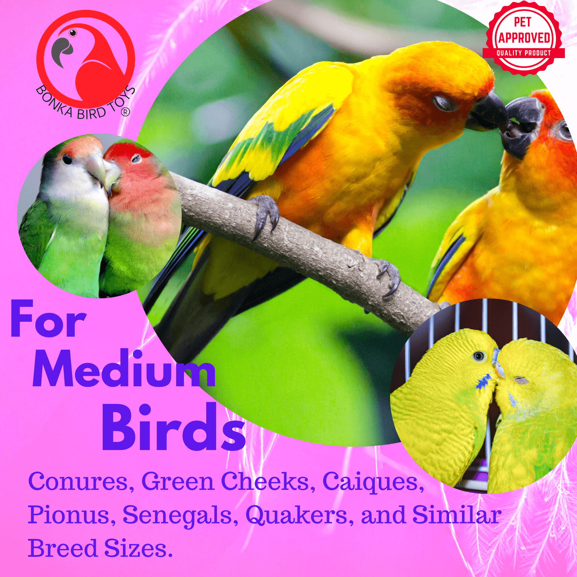 2592 Coco Surprise - Bonka Bird Toys