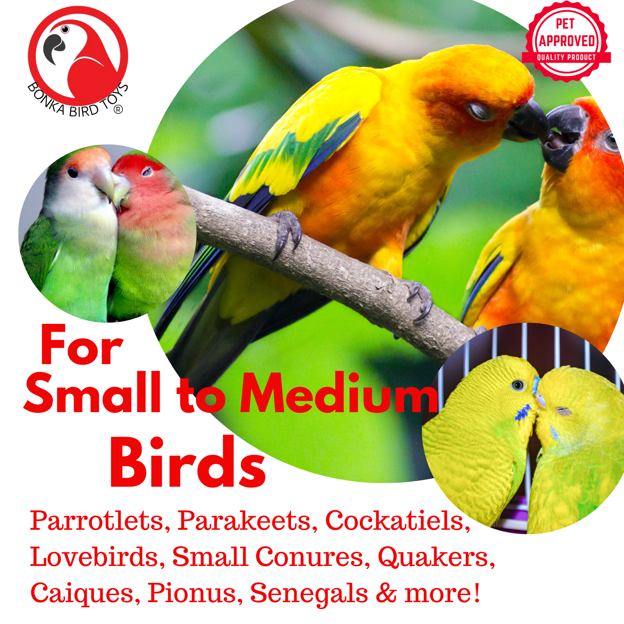 3875 Take Out - Bonka Bird Toys