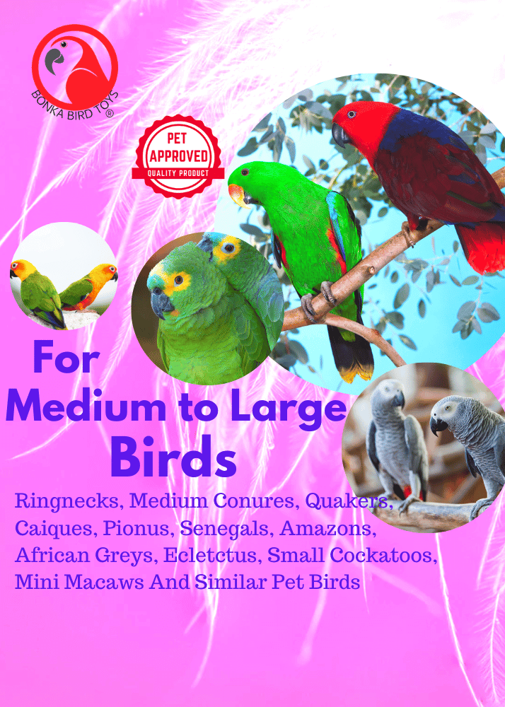 1643 Medium Stainless Steel Pipe Bell - Bonka Bird Toys