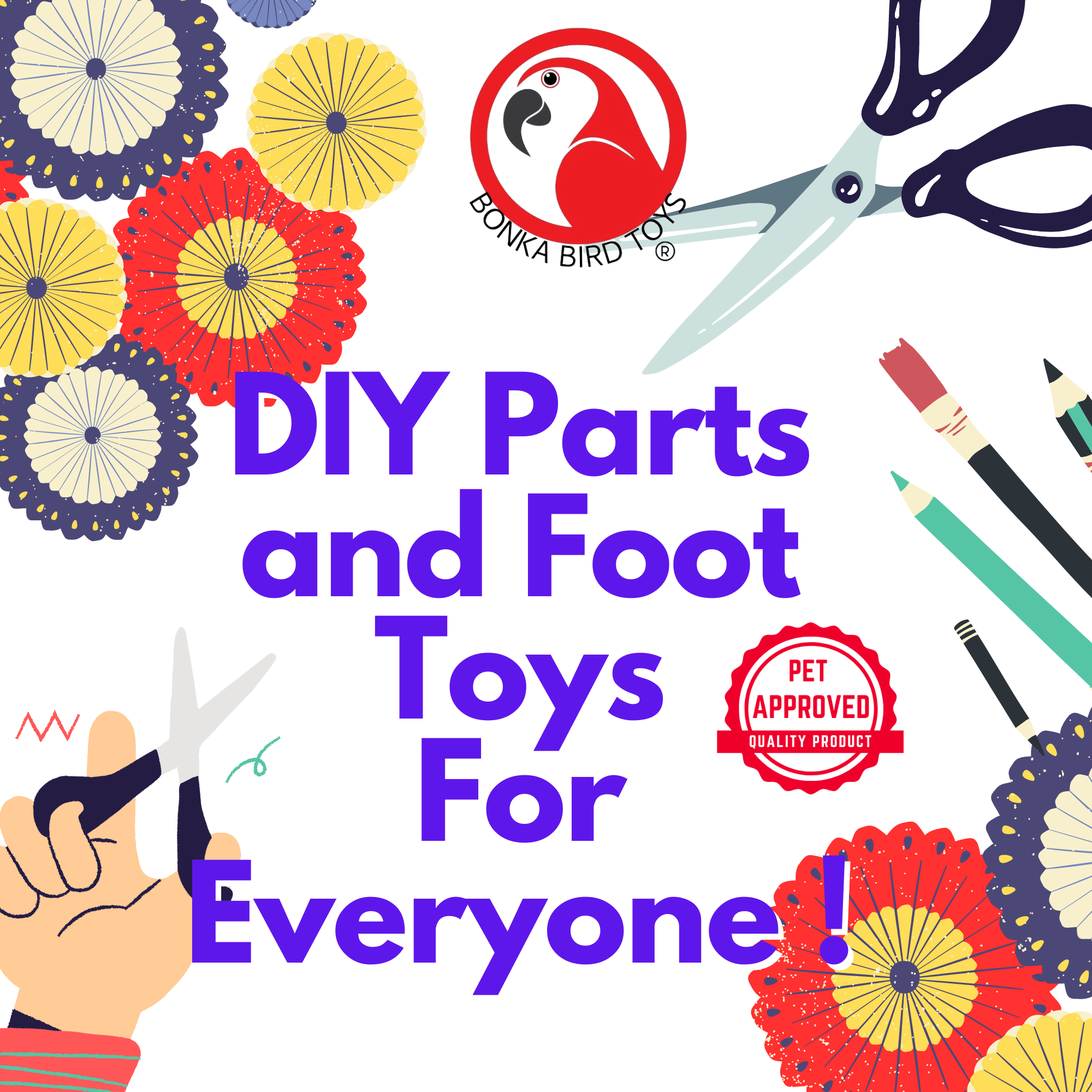 2638 Pk12 Thin Colored Sola Sticks - Bonka Bird Toys