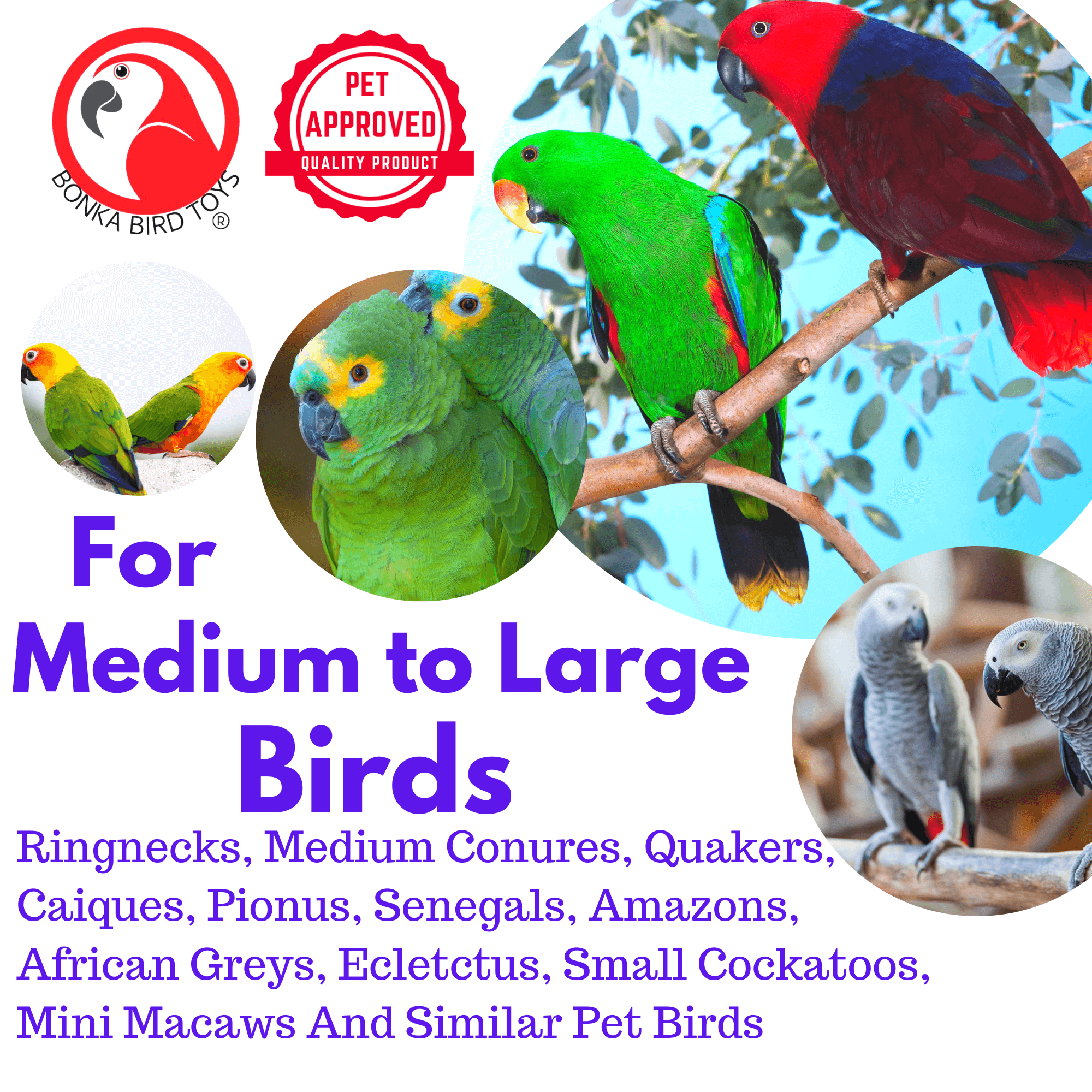 00197 Large Stainless Steel Baffle Cage 6X6 - Bonka Bird Toys