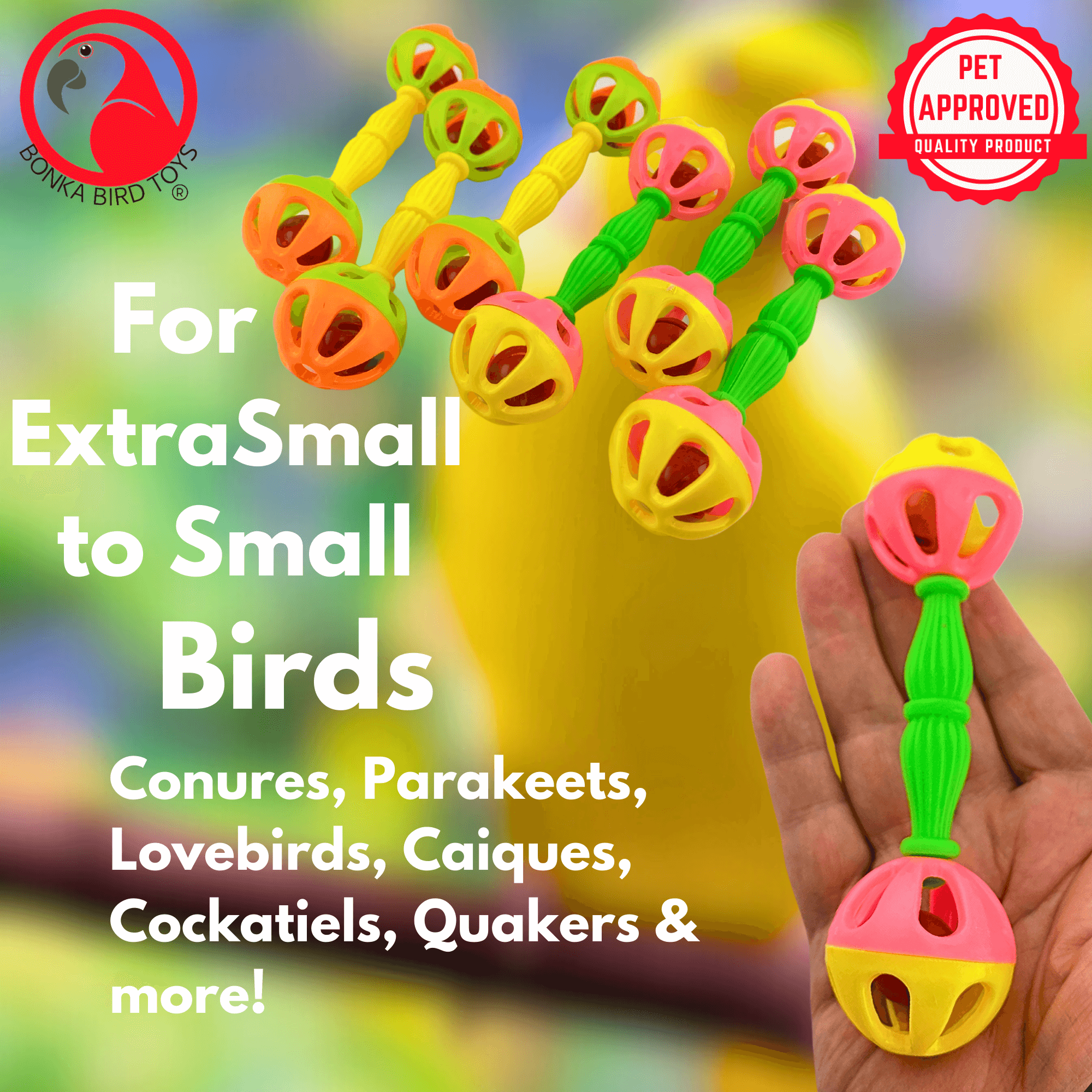 3161 Pk6 Birdie Barbell - Bonka Bird Toys