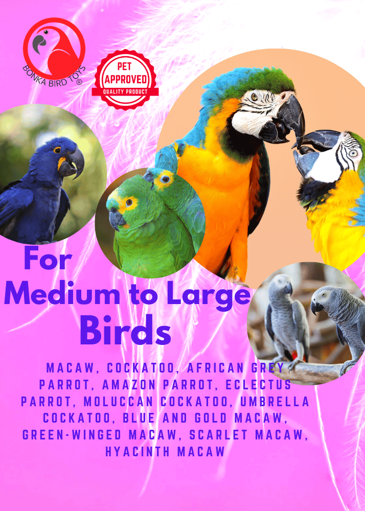 1644 Large Stainless Steel Pipe Bell - Bonka Bird Toys