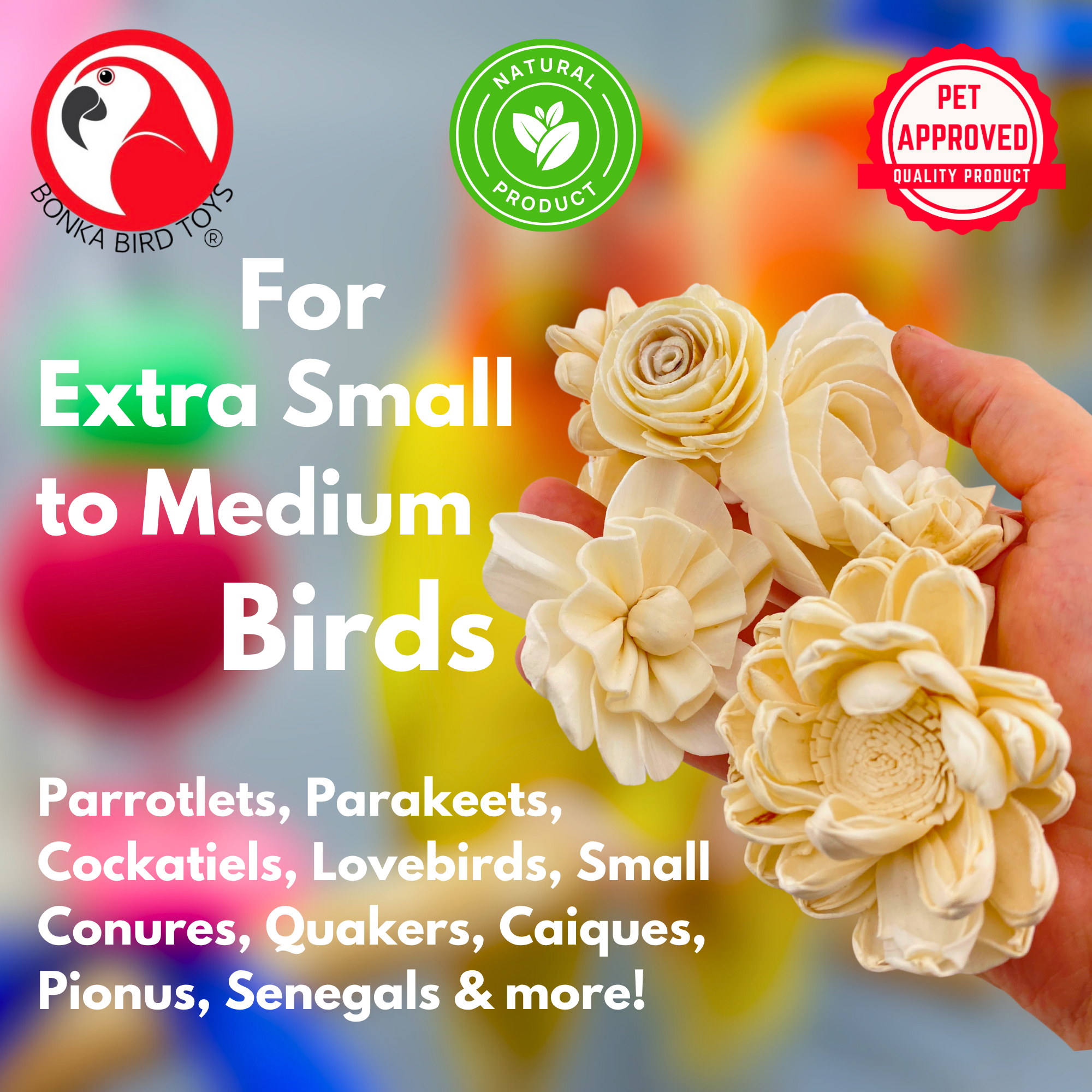 3604 Pk6 Assorted Sola Flowers - Bonka Bird Toys