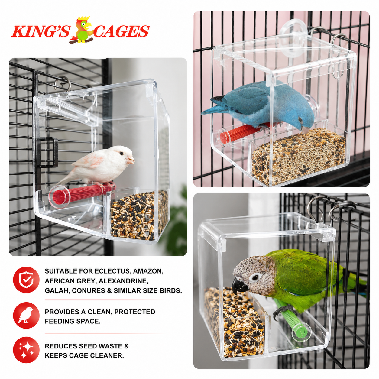 Small Tweeky Clean Tidy Bird Feeder - Bonka Bird Toys