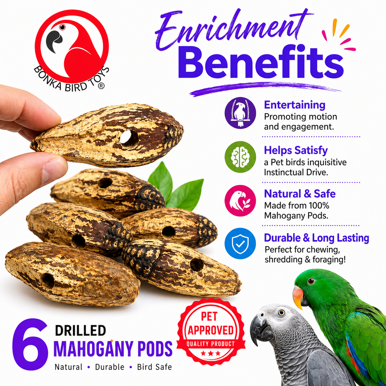 3410 Pk6 Drilled Mahogany Pods - Bonka Bird Toys