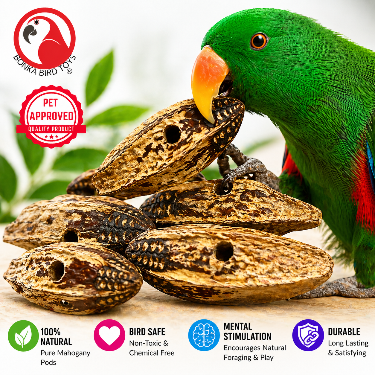 3410 Pk6 Drilled Mahogany Pods - Bonka Bird Toys