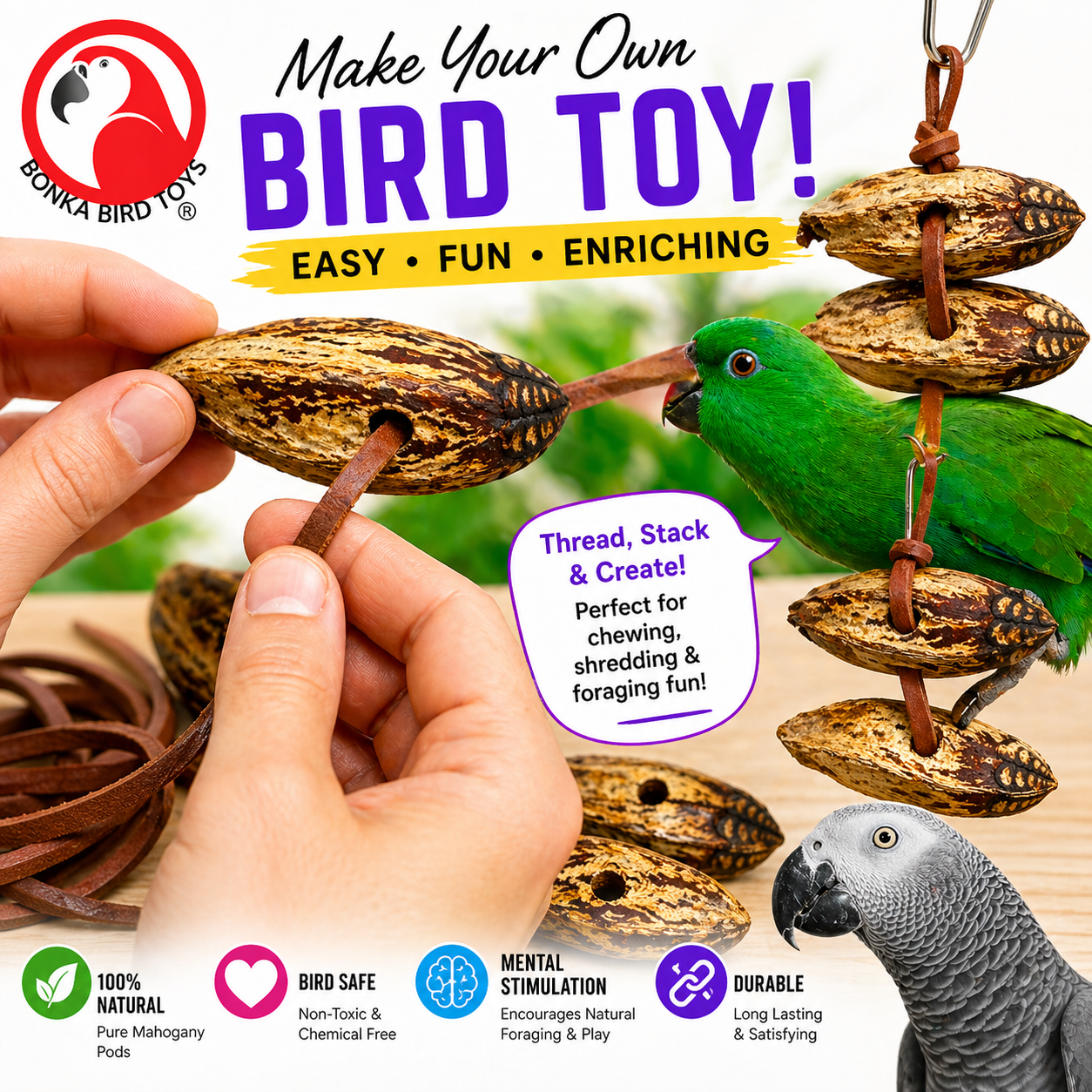 3410 Pk6 Drilled Mahogany Pods - Bonka Bird Toys