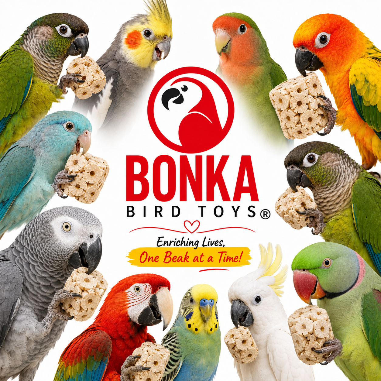 Big Sola Cubes - Bonka Bird Toys