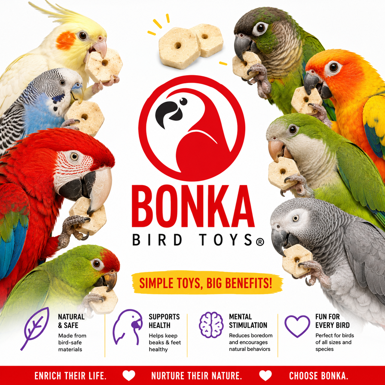 3889 Sola Squares - Bonka Bird Toys