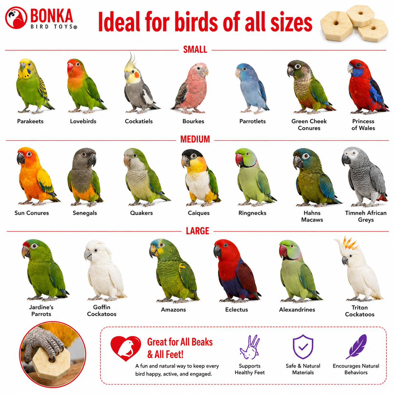 3889 Sola Squares - Bonka Bird Toys