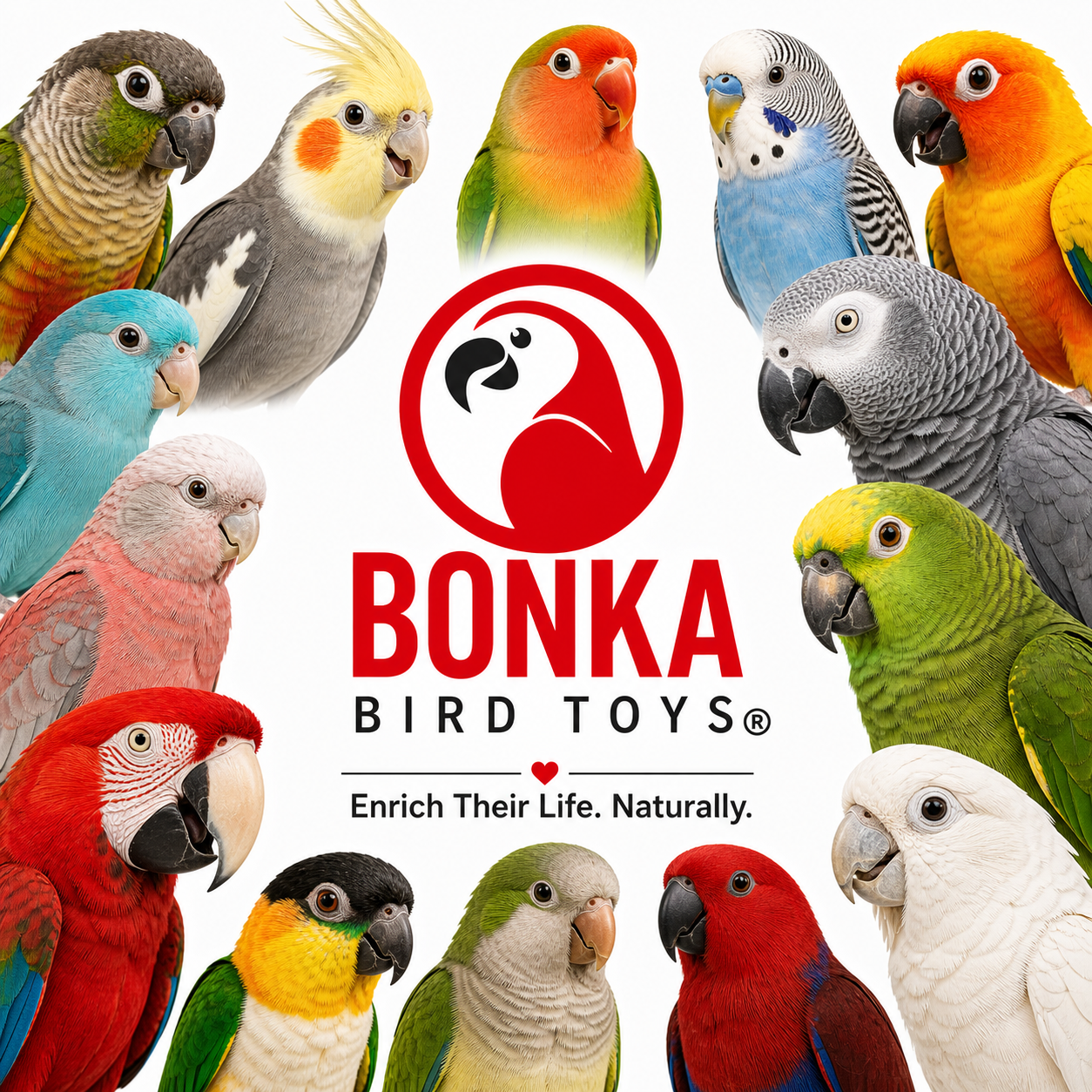 Small Sola Cubes - Bonka Bird Toys