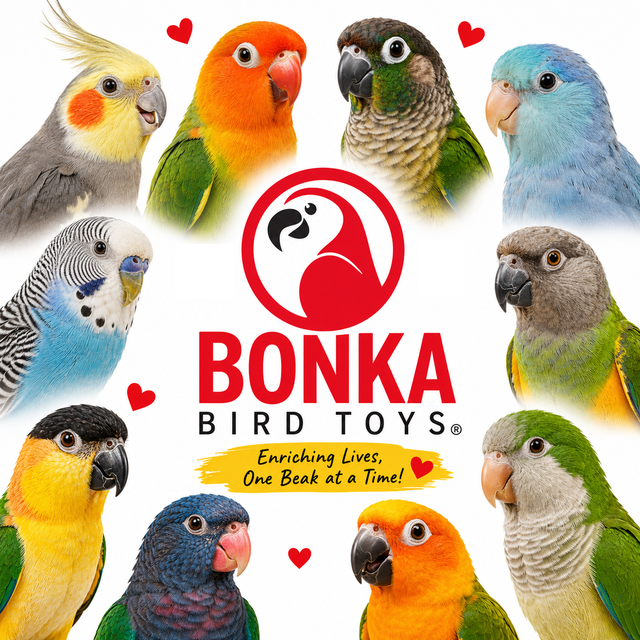 Sola Love - Bonka Bird Toys