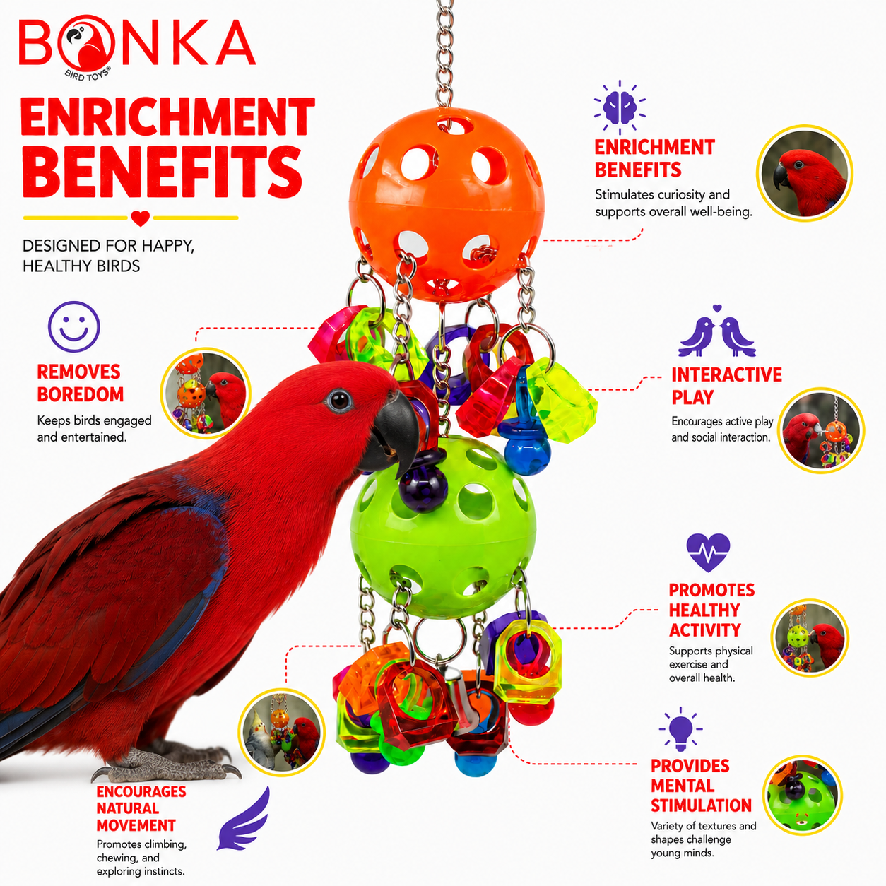 3759 Duo Paci Pull - Bonka Bird Toys