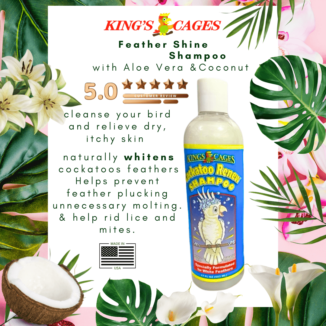 Cockatoo Renew Shampoo 17oz