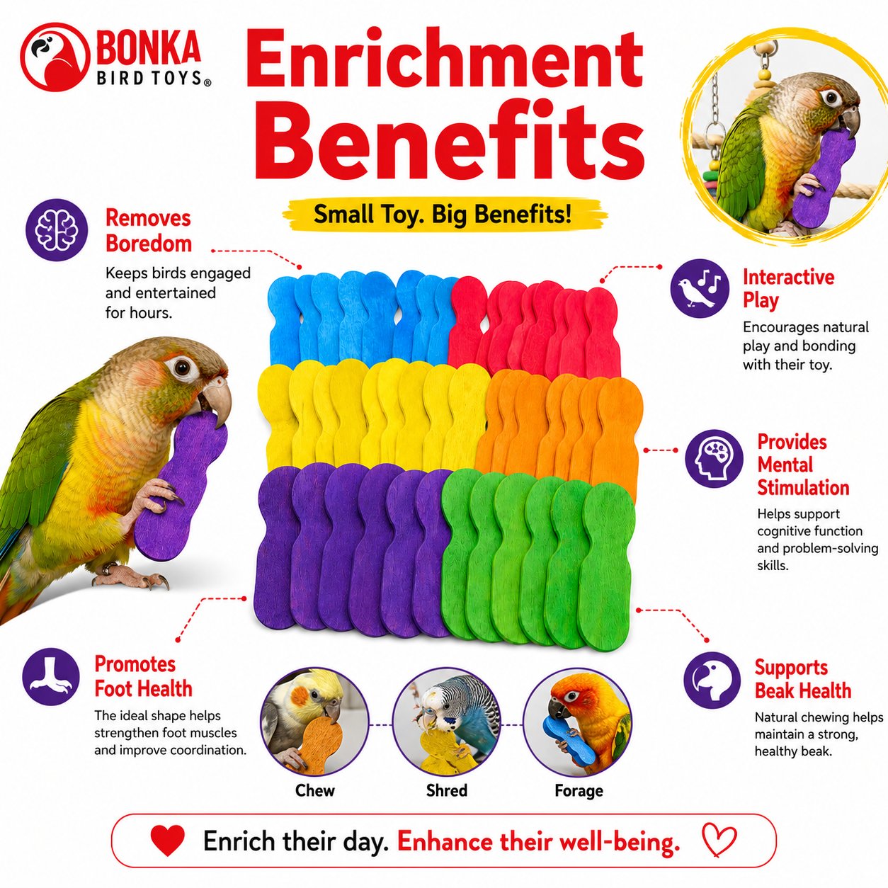 2665 PK50 Mini Scoop Spoons - Bonka Bird Toys