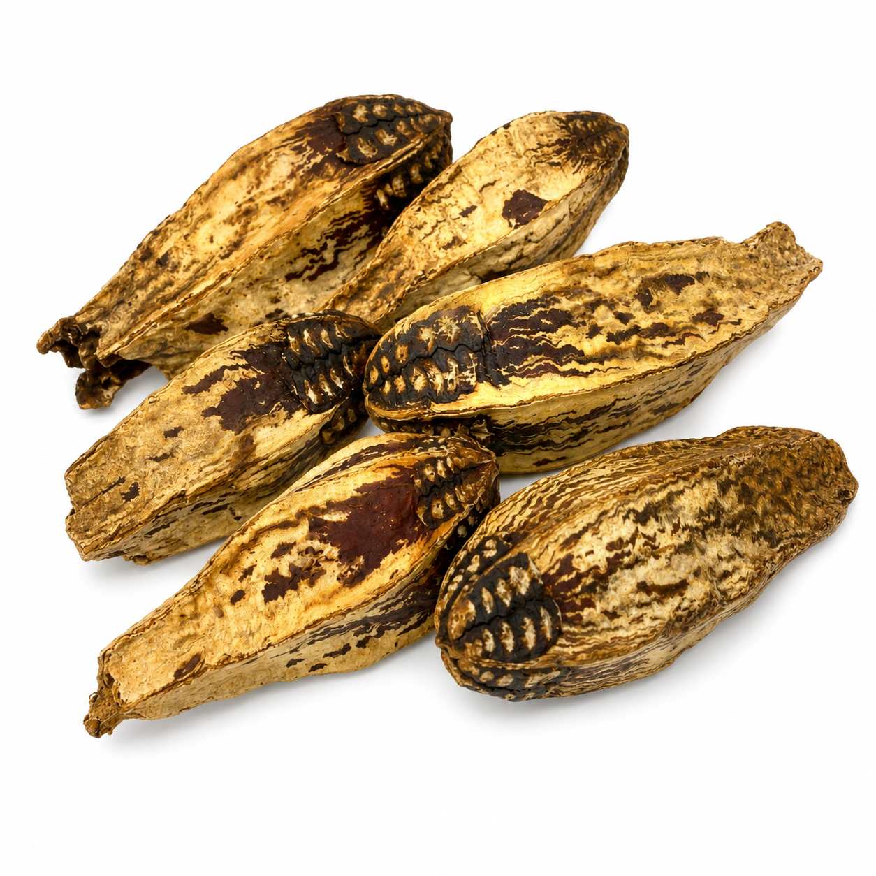 2449 Pk6 Mahogany Pods - Bonka Bird Toys