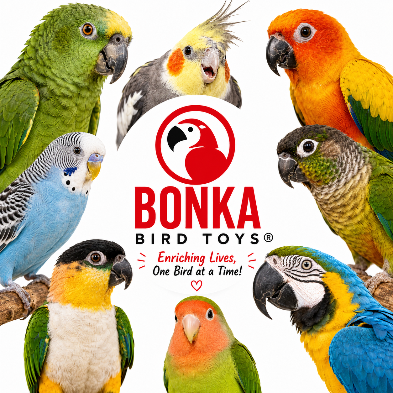 0042 Small Jellyfish - Bonka Bird Toys