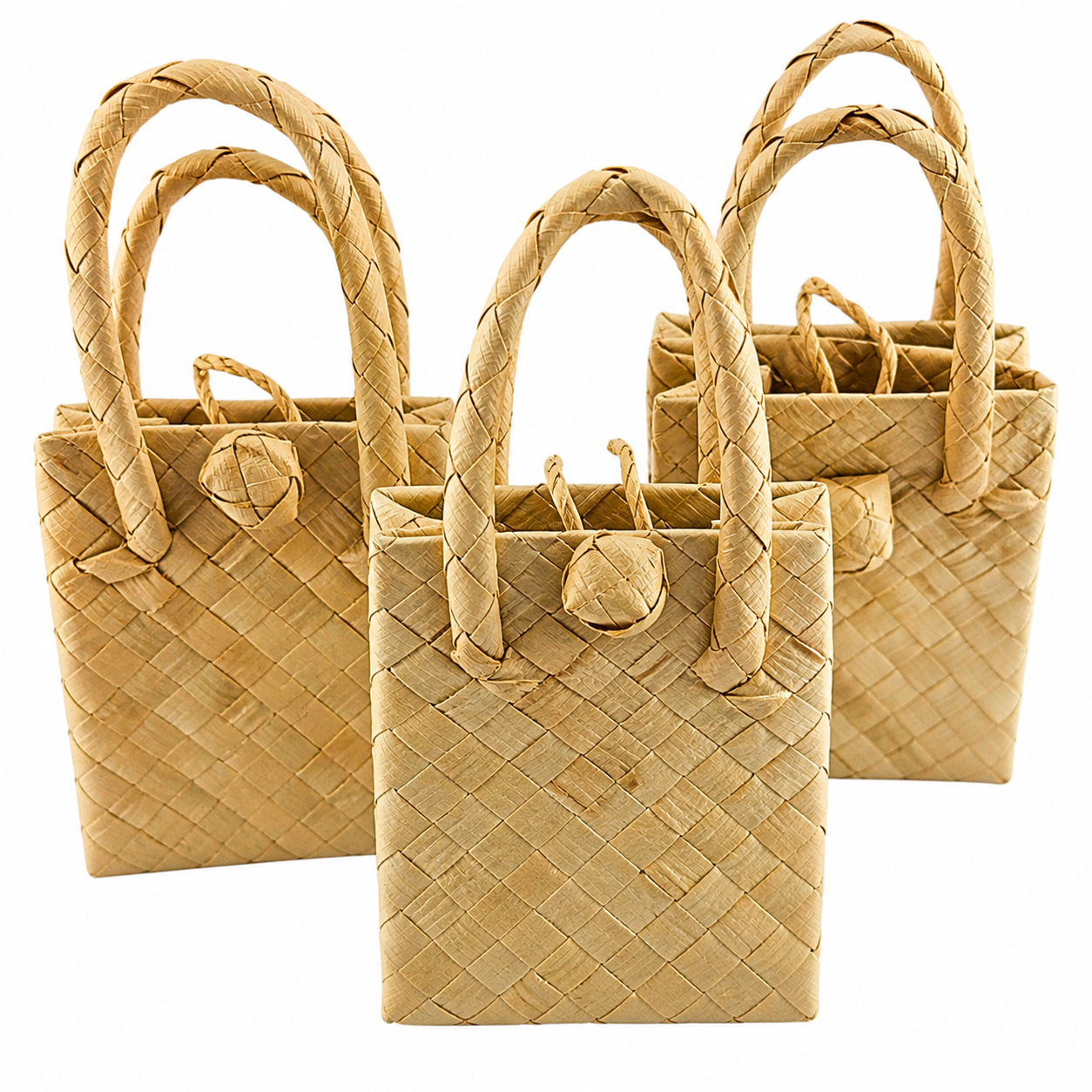 3298 Pk3 Palm Leaf Bag - Bonka Bird Toys