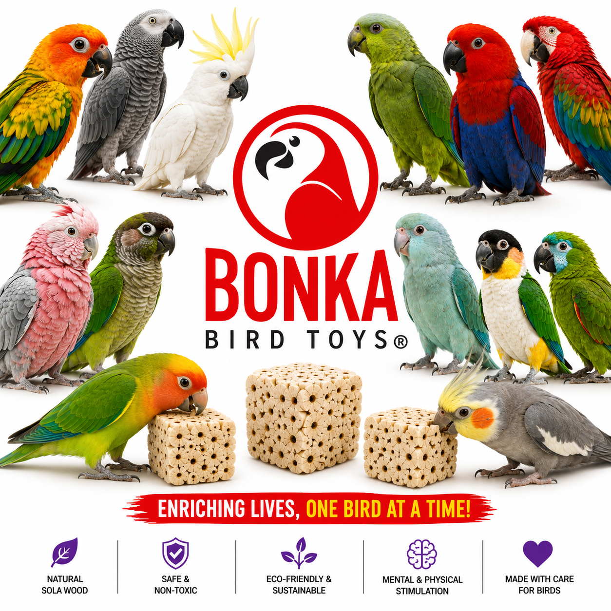 Big Sola Cubes - Bonka Bird Toys